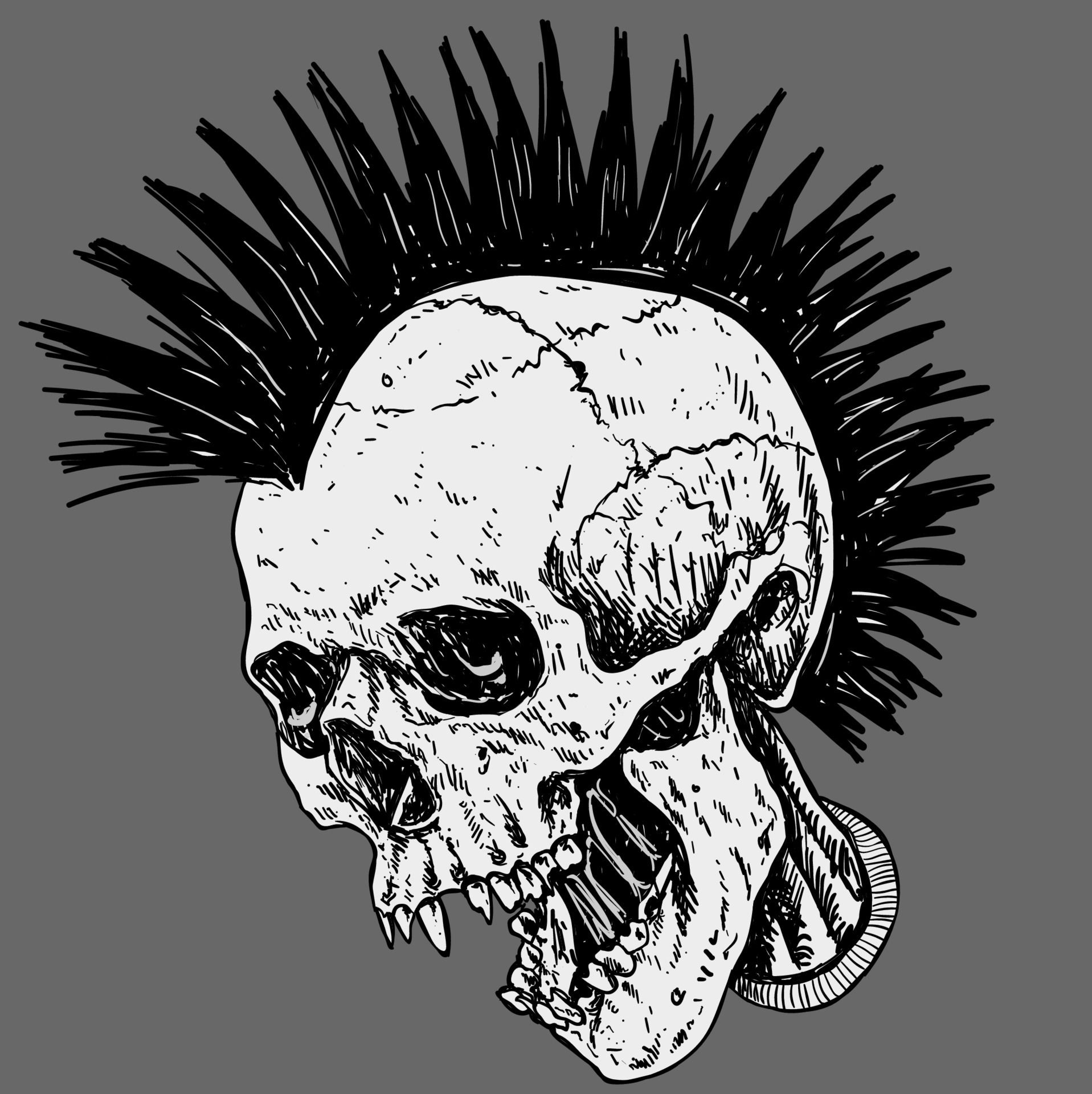 Wallpaper #QIf_MZMBPAdmKxa2_2NZ99 Punk Skull with Mohawk Hair 16417029 Vector Art at Vecteezy
