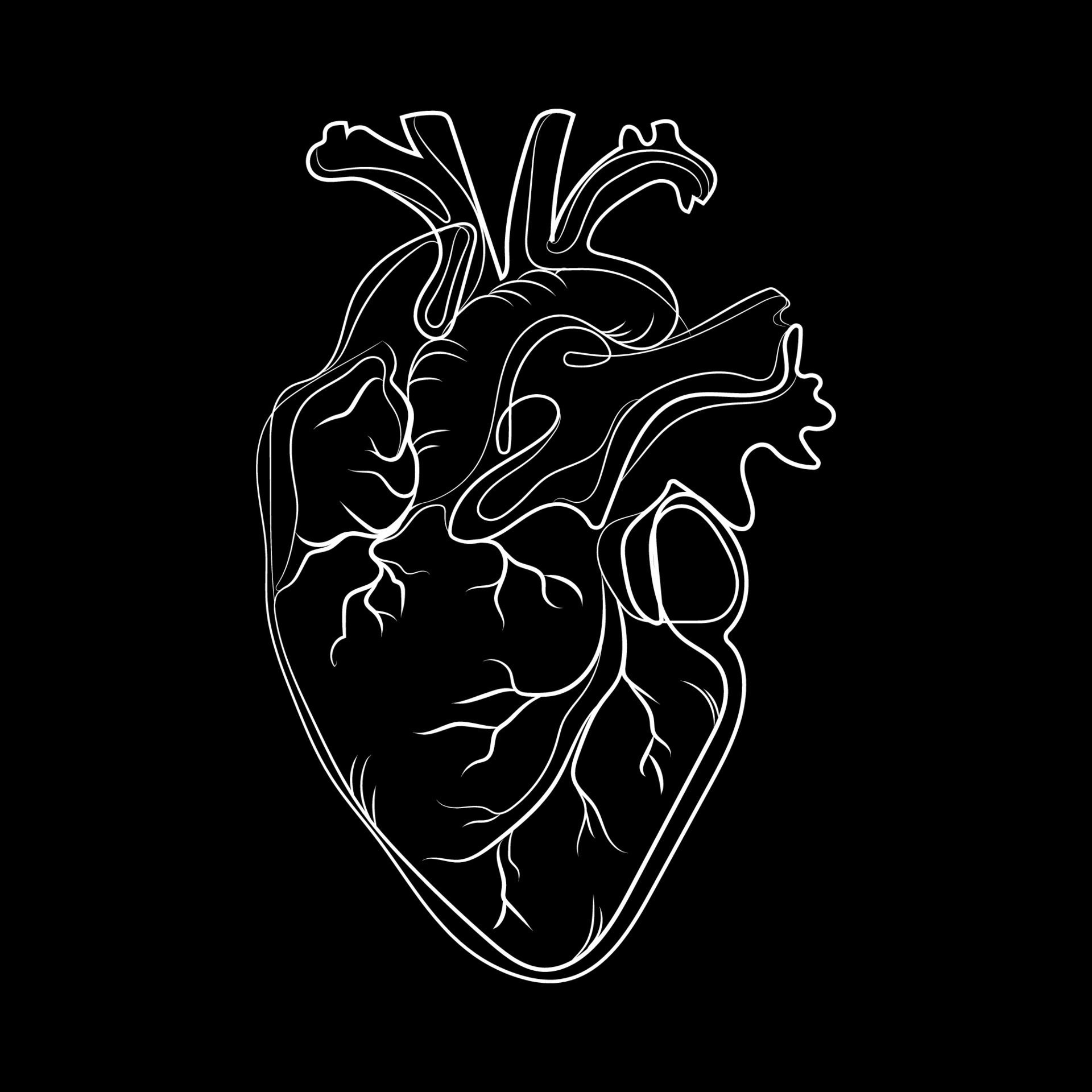 Wallpaper #pGc1AJMBSpphPi3-mKUB12 Doodle Anatomical Heart Line Art Abstract Drawingvector Illustration