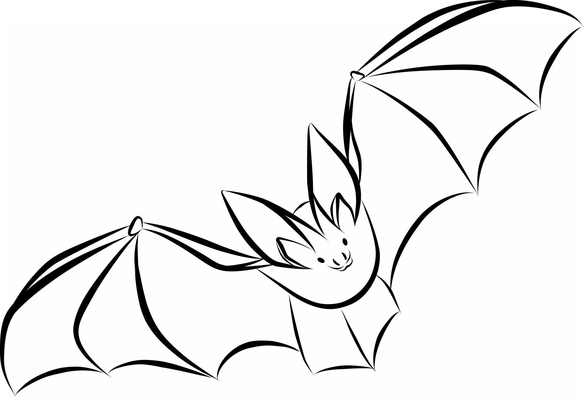 Wallpaper #wYvtdZcBcm9NJah-lHeO178 Flying Bats Tattoo