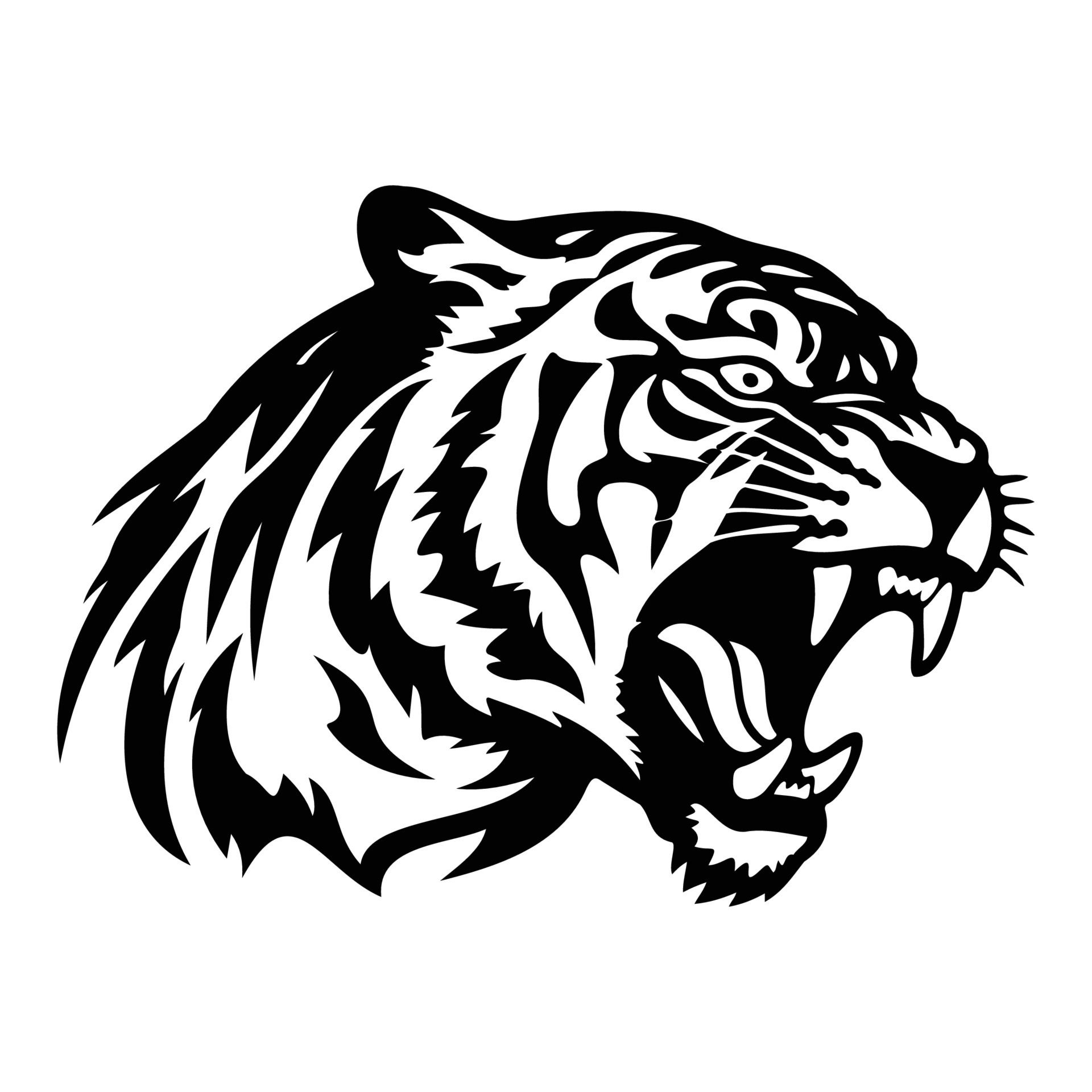 Wallpaper #JneBJ5MB-pgBXx60B6YM293 Tiger Side Face Drawings