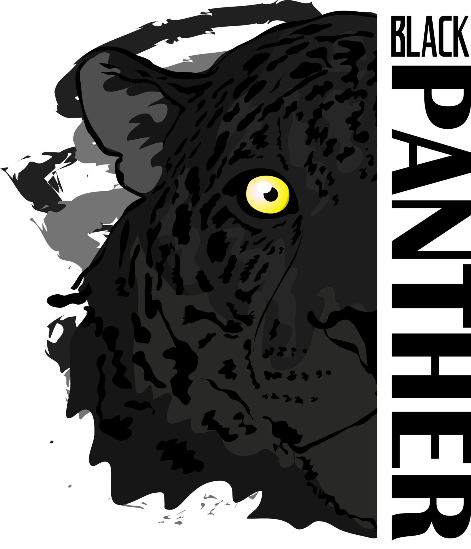 Wallpaper #6d884 The Black Panthers Vanguard of the Revolution Documentary About