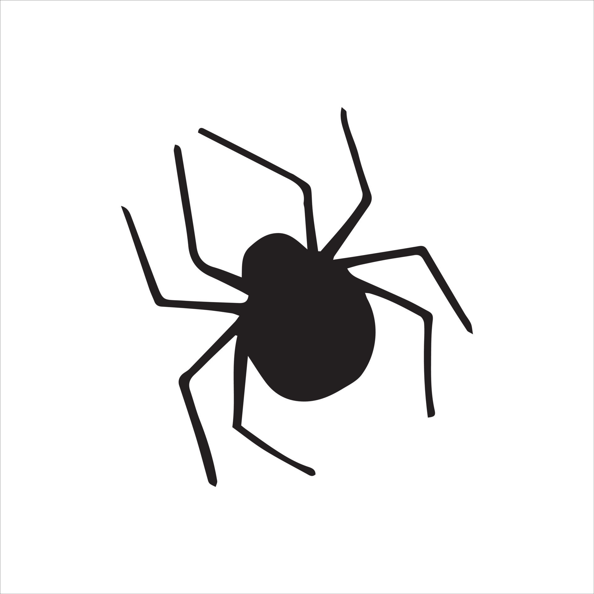 Wallpaper #NvSyOZMBKFX8bn3rzHd0257 Simple Line Drawing Vector Illustration Spider Black and White