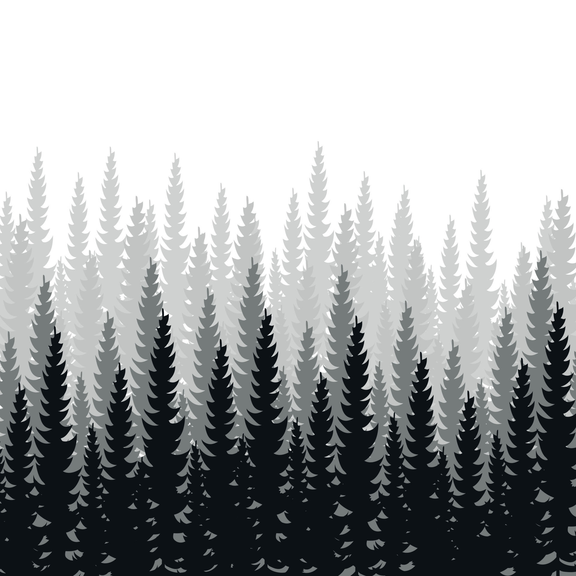 Wallpaper #lGcDC5MBSpphPi3-T9ct290 Dense Forest Fir and Pine Natural Green Landscape Web Background