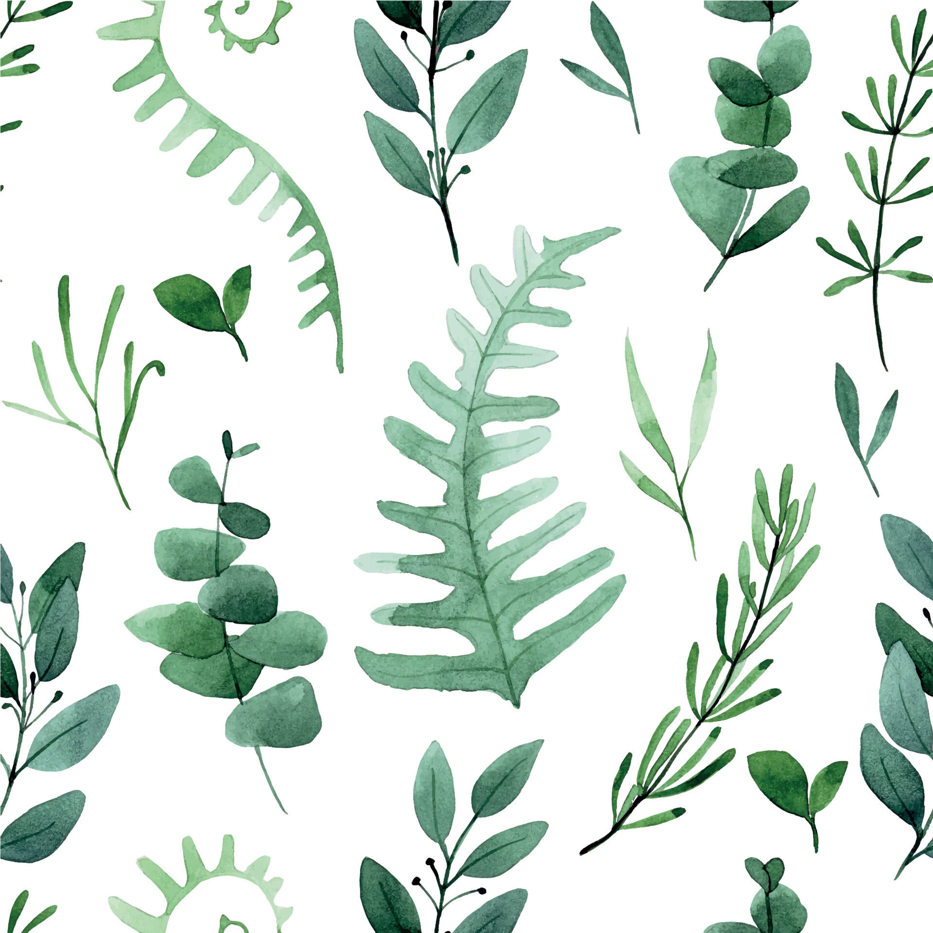 Wallpaper #am19apcBycdYOYFTxHE686 Watercolor Drawing Seamless Pattern with Forest Leaves and Herbs