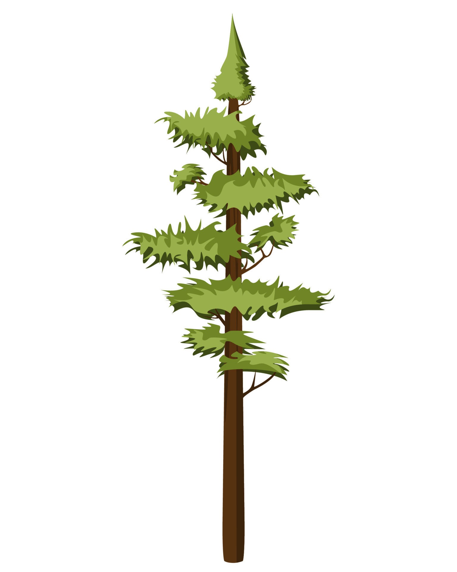 Wallpaper #BGdQC5MBSpphPi3-qtkV281 Tall Pine Tree in Realistick Style Evergreen Forest Coniferous Spruce