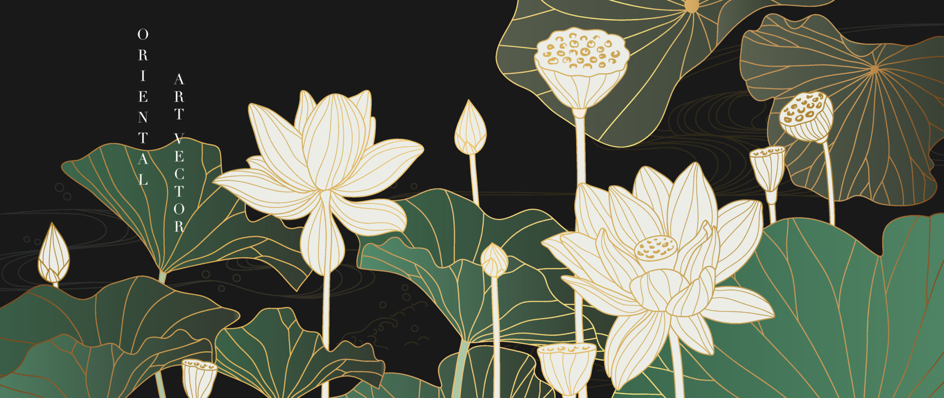 Wallpaper #DM4hJZMB71dOy6JZpRPm249 Luxury Oriental Flower Background Vector Elegant White Lotus Flowers