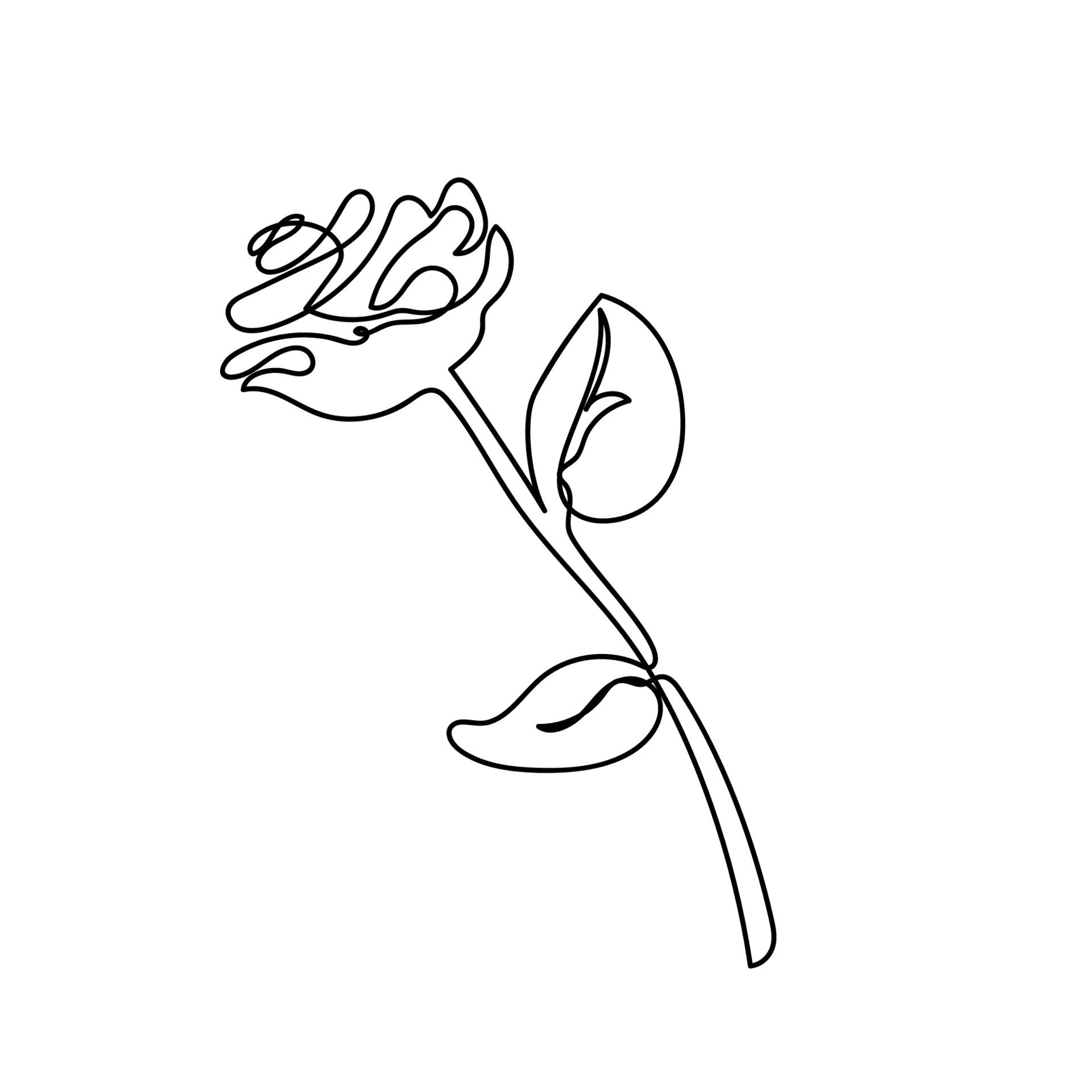 Wallpaper #92gMIpMBSpphPi3-LzF995 Rose Continuous Line Flowers Garden Outline Sketch Style Vector