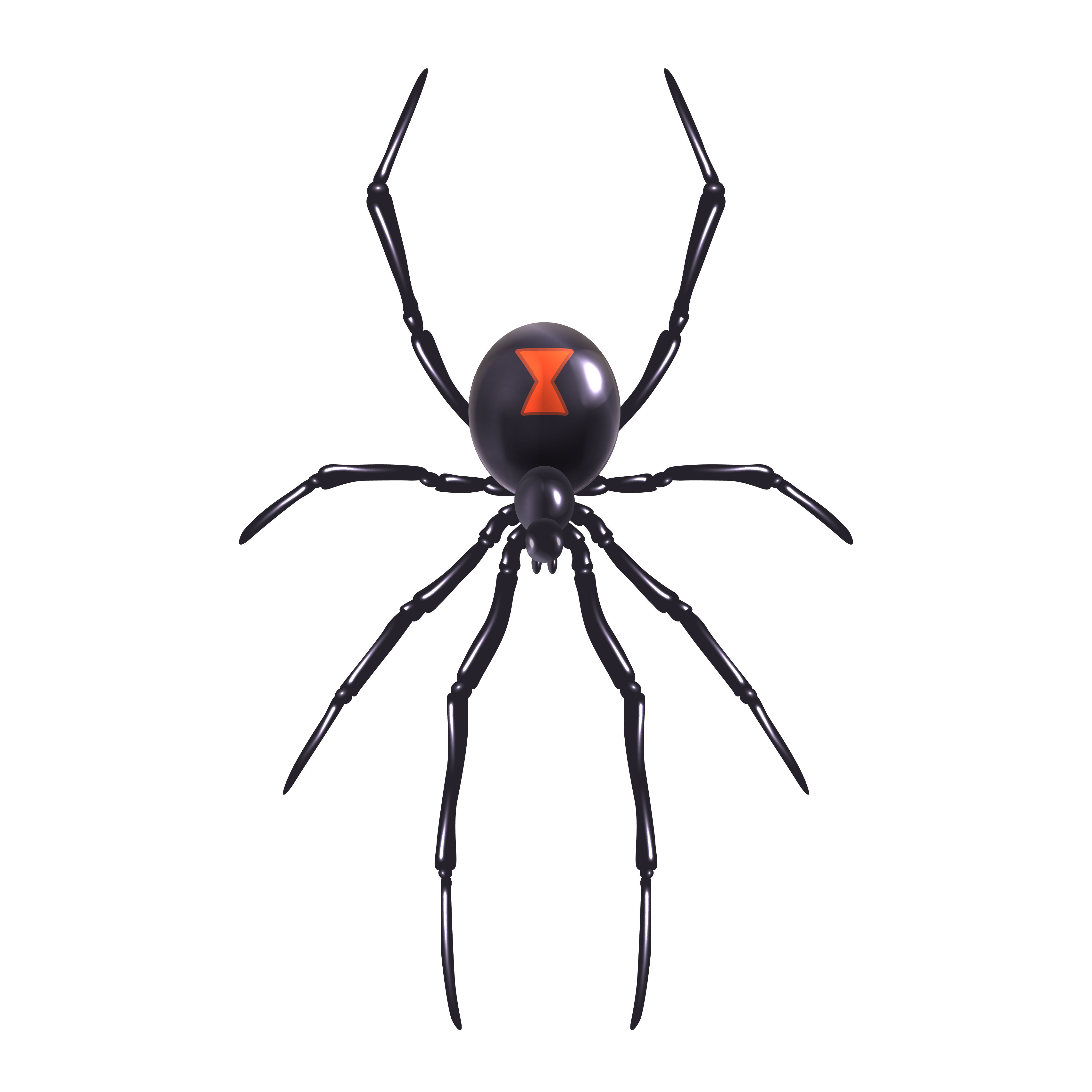 Wallpaper #k_RZOpMBKFX8bn3rE3j0230 Realistic Spider Isolated 443934 Vector Art at Vecteezy