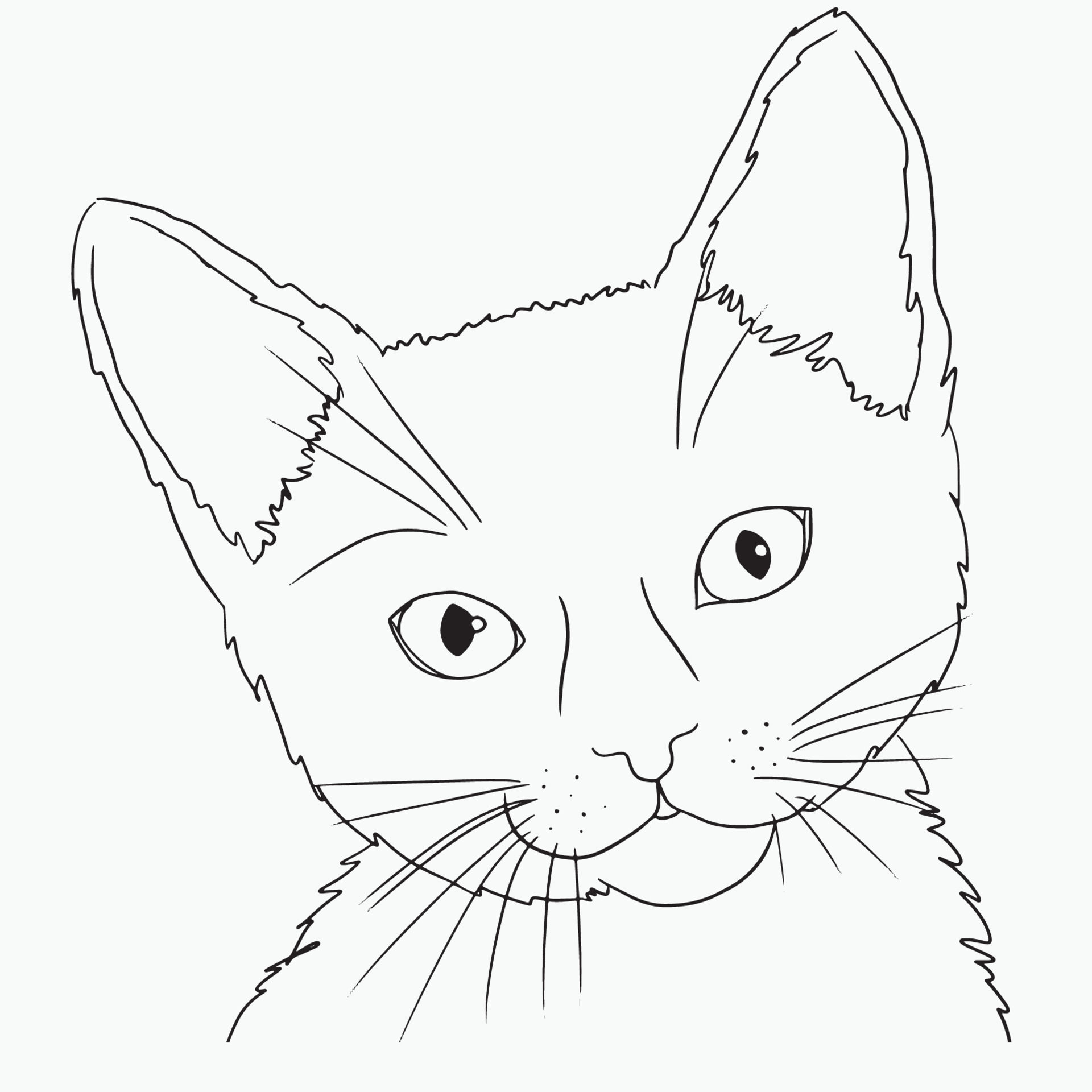 Wallpaper #sZy14pIBZHQxiYarjMHJ163 Cat Line Art Kitty Face Outline Drawing Simple Sketch Minimalist