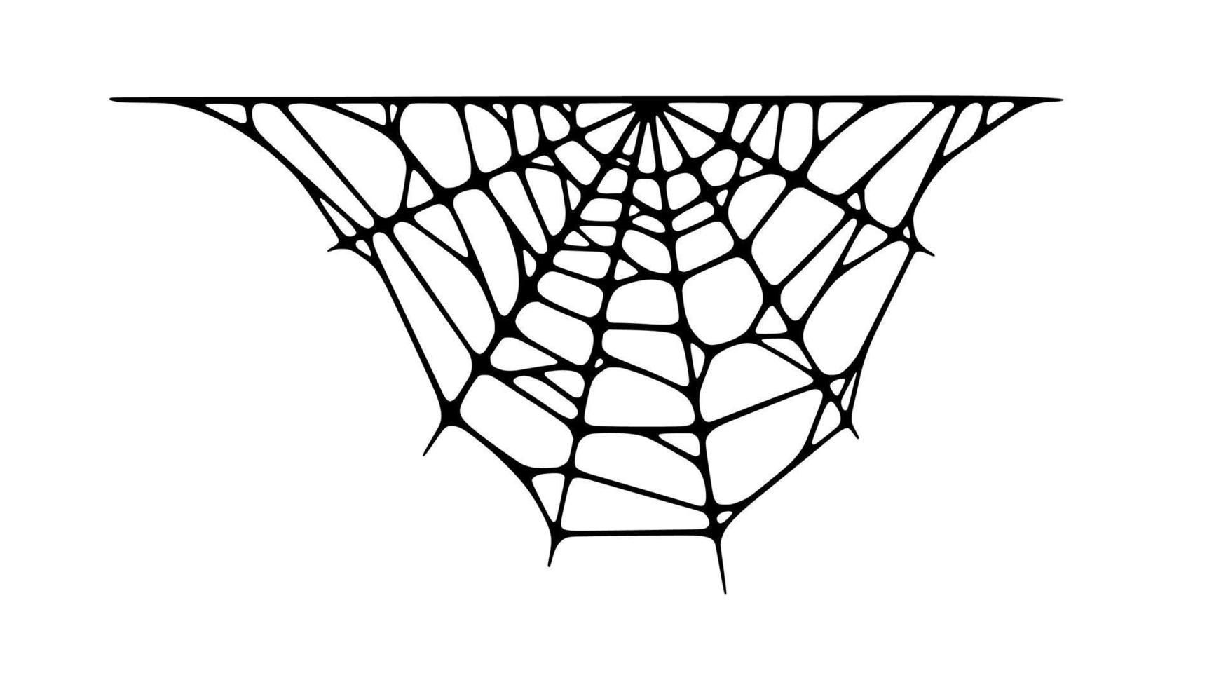 Wallpaper #52dP85IBSpphPi3-BnRA50 Spider Web Isolated on White Background Spooky Halloween Cobweb