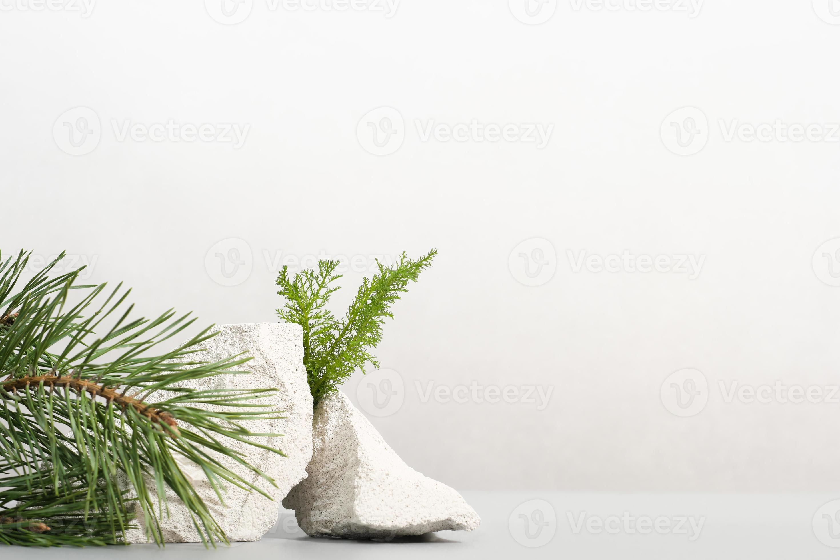 Wallpaper #9GjNGZMBSpphPi3-4hi1142 Abstract Nature Scene with Stones and Pine Tree Branch Neutral Grey