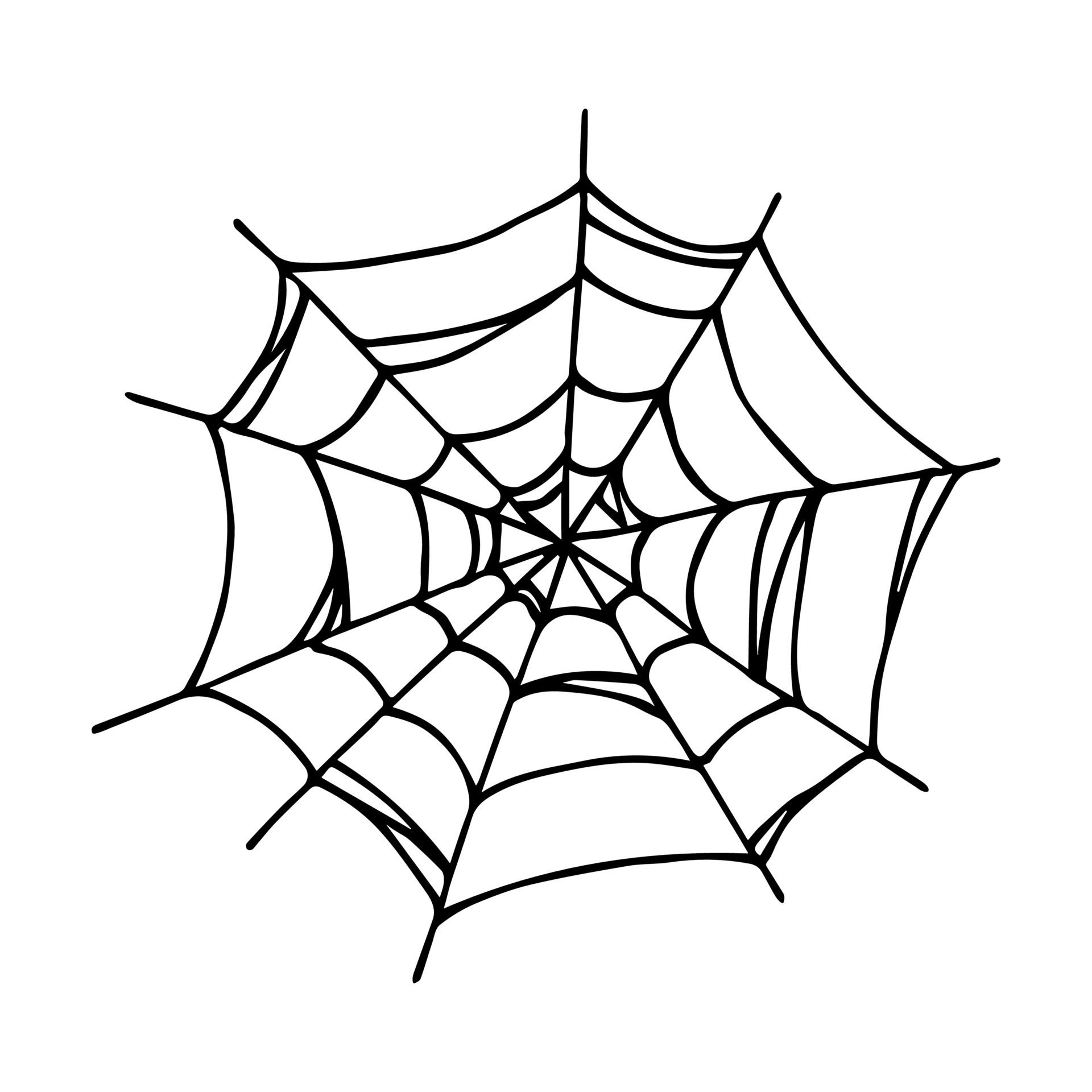 Wallpaper #cGgHF5MBSpphPi3-TQ0z60 Simple Hand Drawn Spider Web Illustration Cute Gossamer Clipart