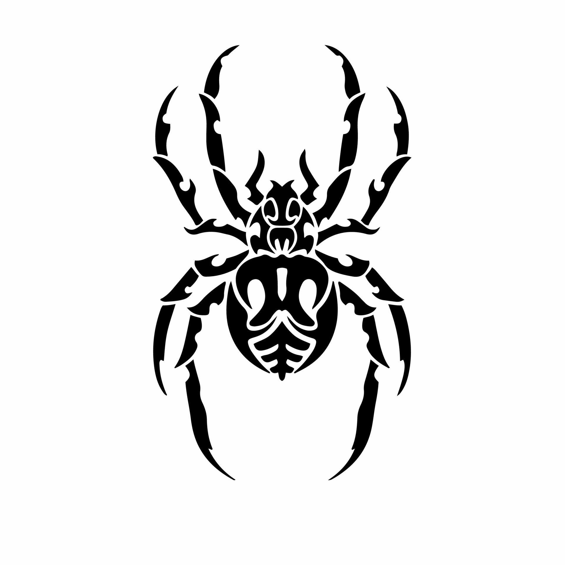 Wallpaper #RPS3OZMBKFX8bn3r6ncE302 Tribal Spider Logo Tattoo Design Animal Stencil Vector Illustration