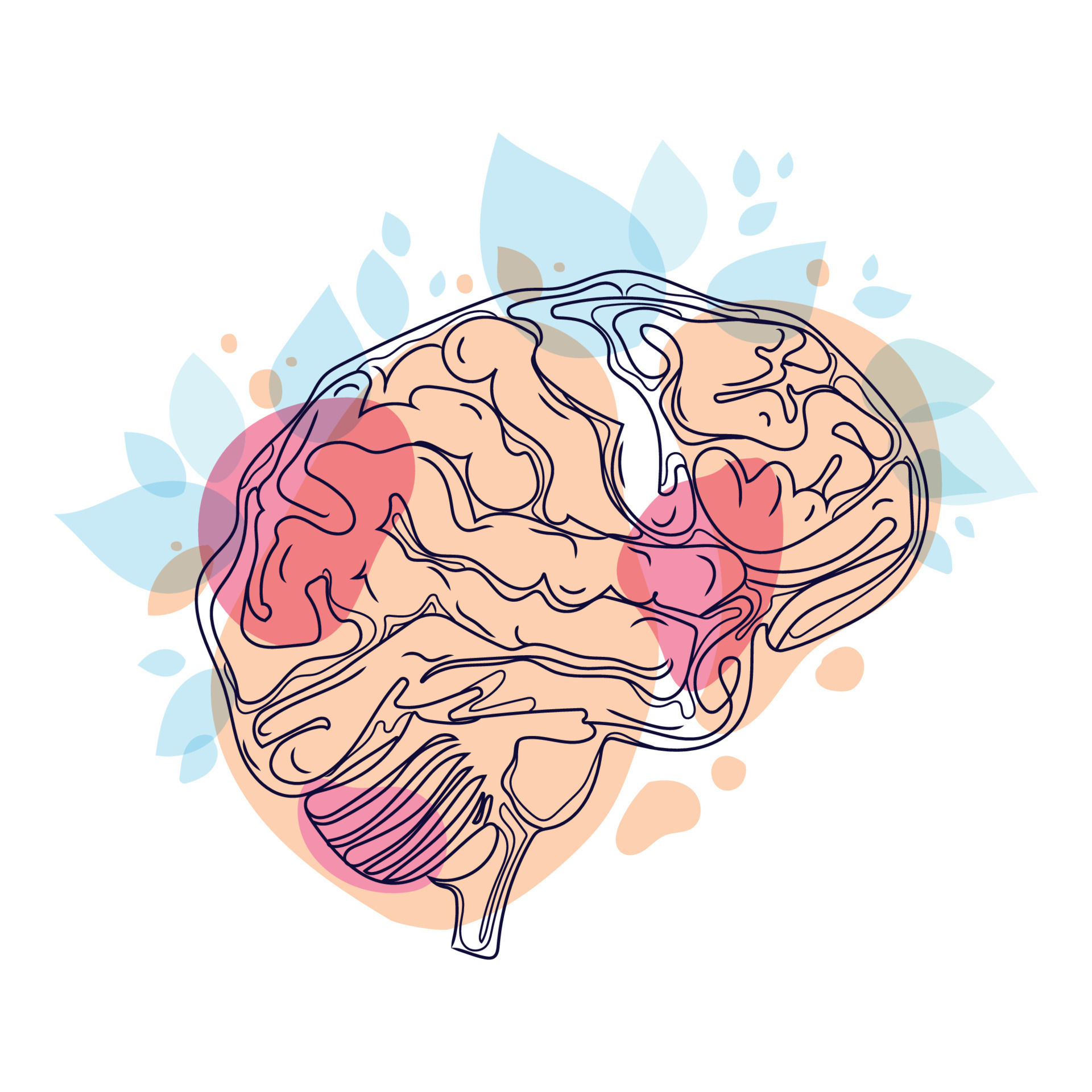 Wallpaper #WWdkEpMBSpphPi3-tvsO73 Human Brain Minimal Art Line Drawing Vector Illustrationbrain with
