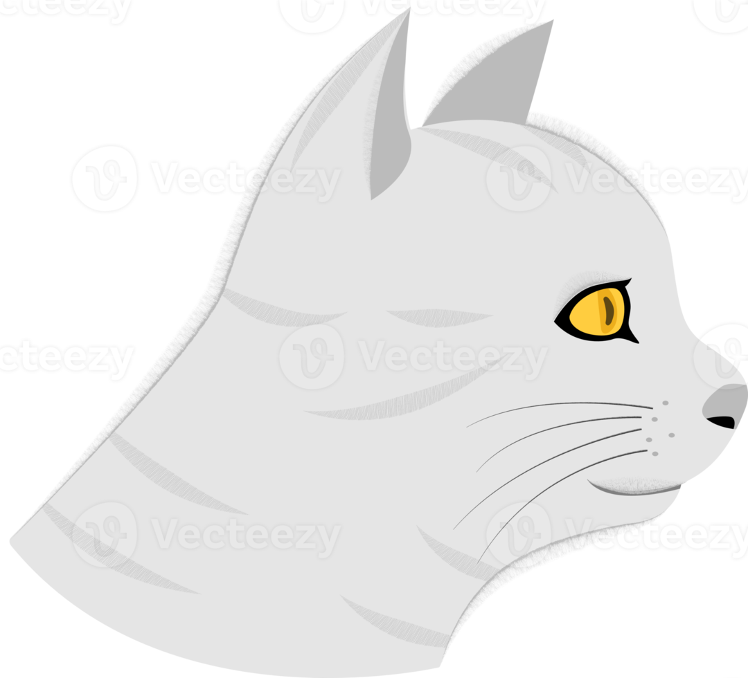 Wallpaper #fULzPJMBOBpx0NhmUcKW337 Cat Head Side