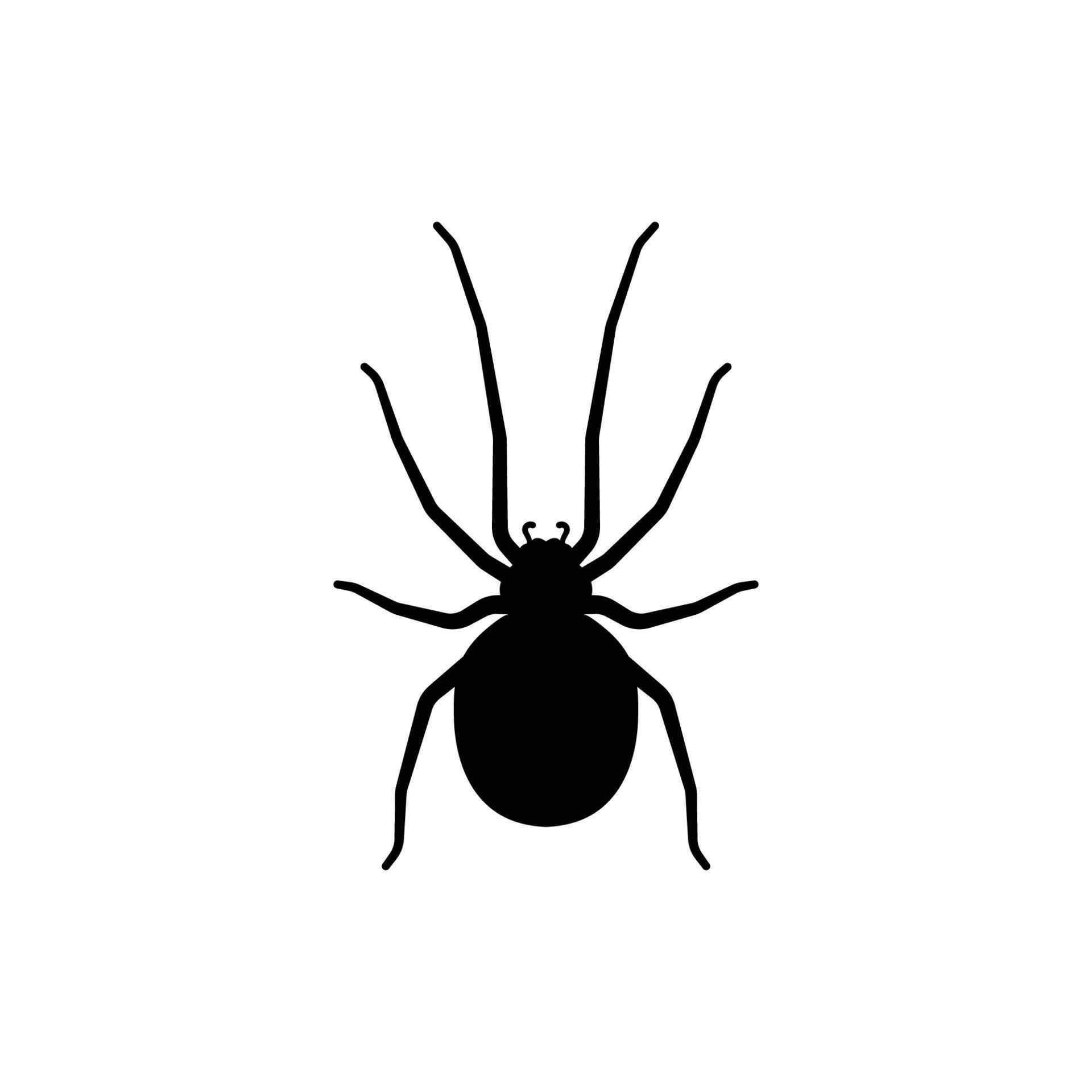 Wallpaper #nWcC_5IBSpphPi3-bKEo242 Black Spider Logo Icon Design Vector 7636854 Vector Art at Vecteezy