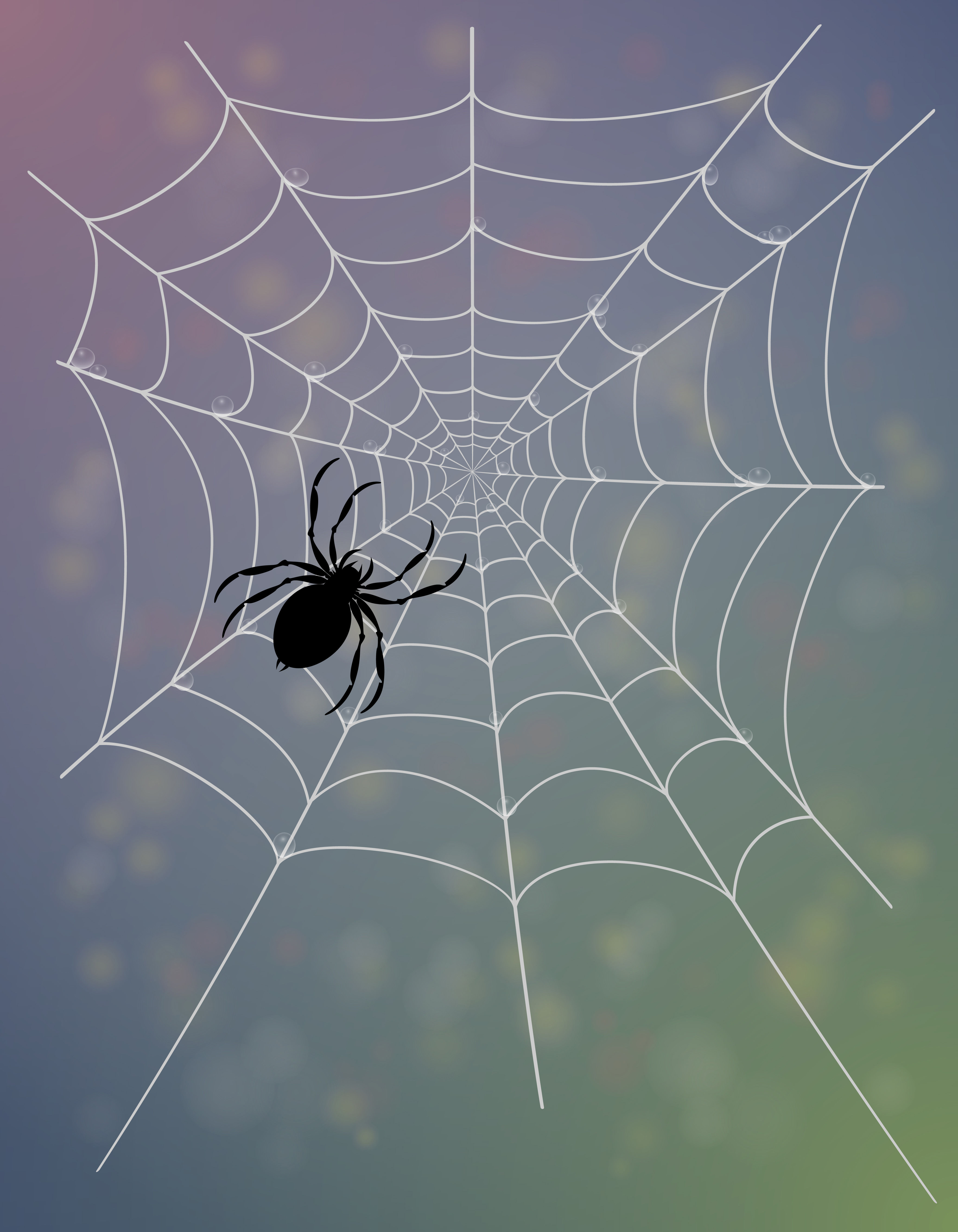 Wallpaper #52dP85IBSpphPi3-BnRA26 Spider Web Vector Illustration 510938 Vector Art at Vecteezy