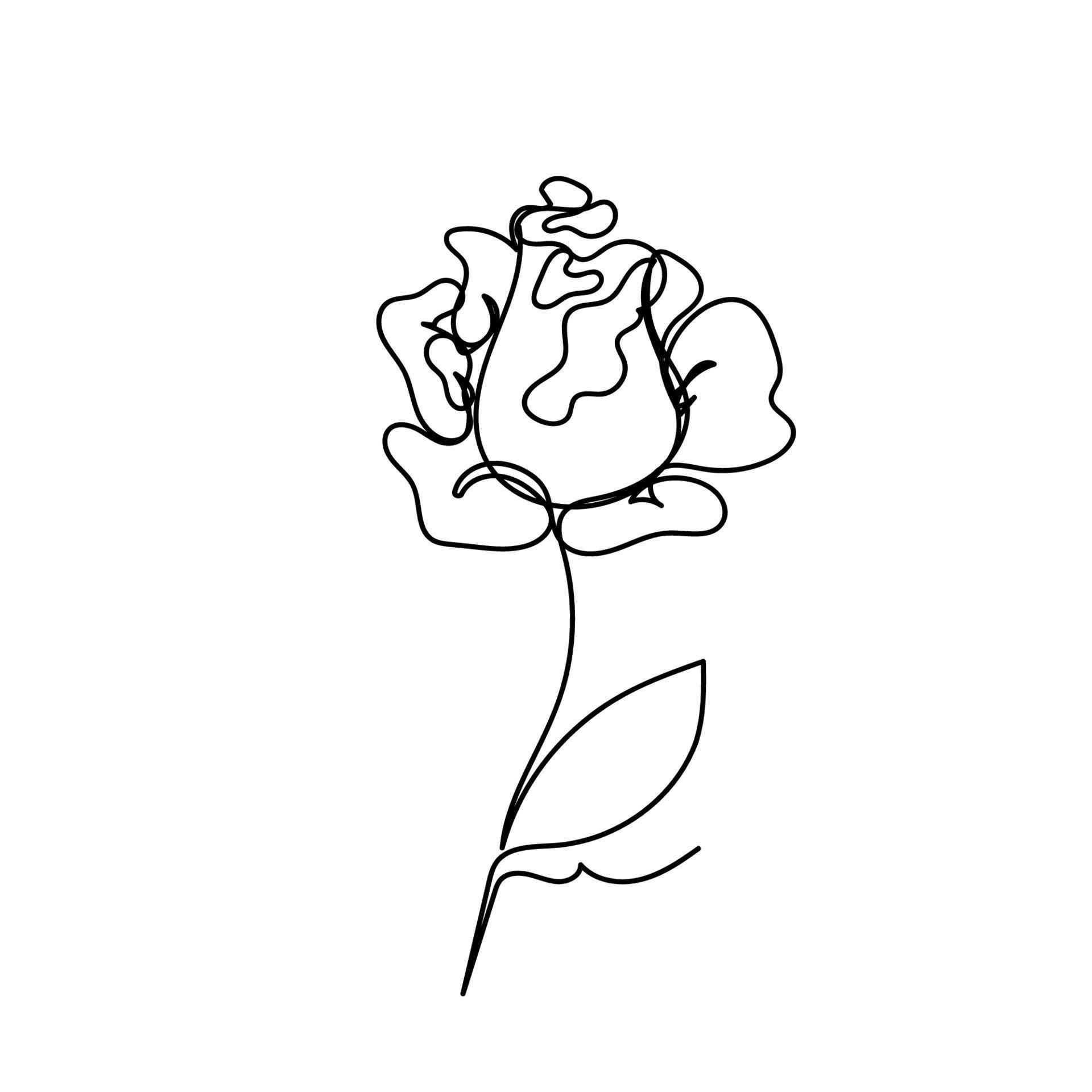 Wallpaper #92gMIpMBSpphPi3-LzF9201 Rose Continuous Line Flowers Garden Outline Sketch Style Vector