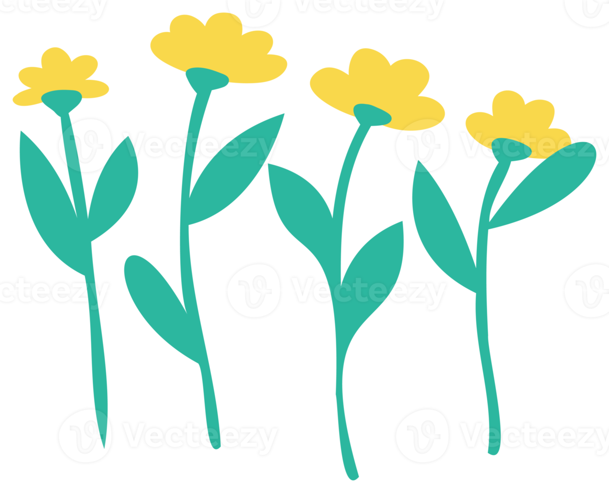 Wallpaper #HGhEGZMBSpphPi3-MRYQ288 Plant Decoration Nature Design Element Png with Transparent