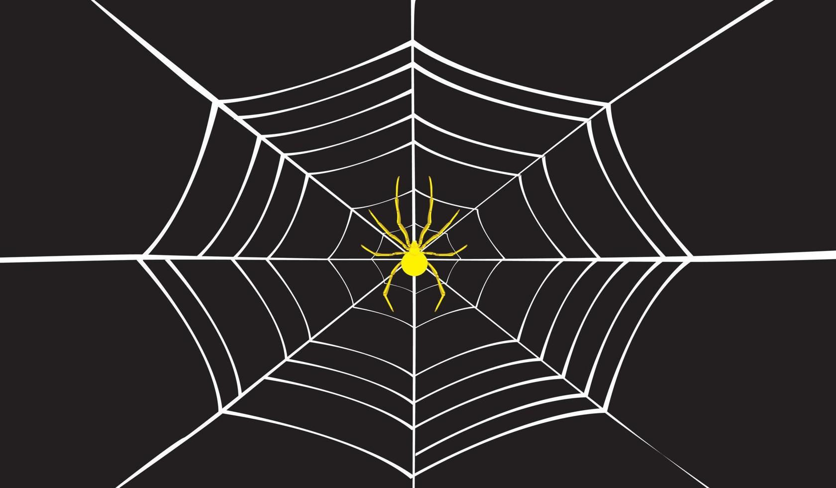 Wallpaper #52dP85IBSpphPi3-BnRA11 Spider Web Vector on Black Background 19605700 Vector Art at Vecteezy