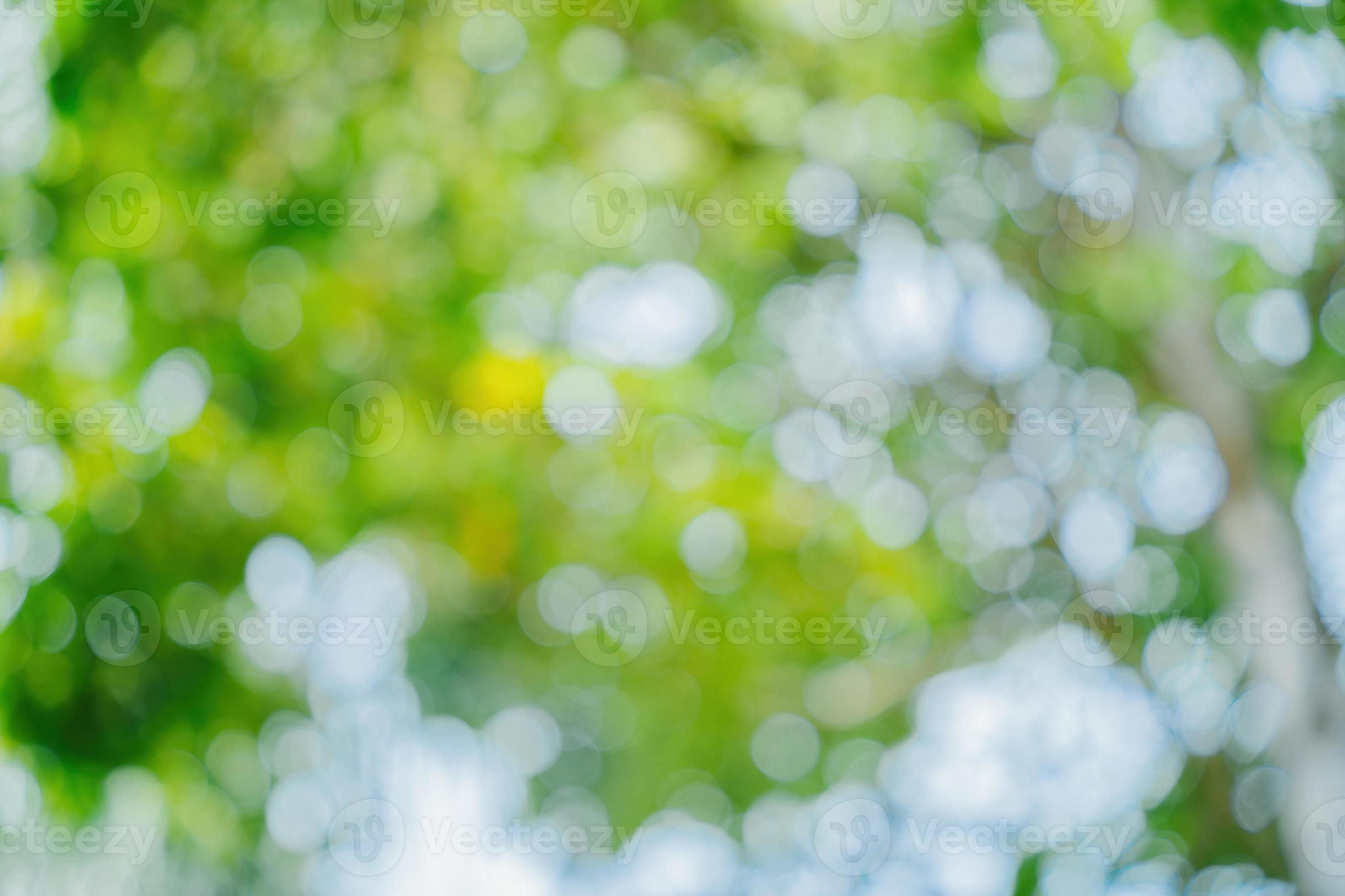 Wallpaper #1mjGGZMBSpphPi3-6hiW245 Details 100 Background Nature Blur Abzlocalmx