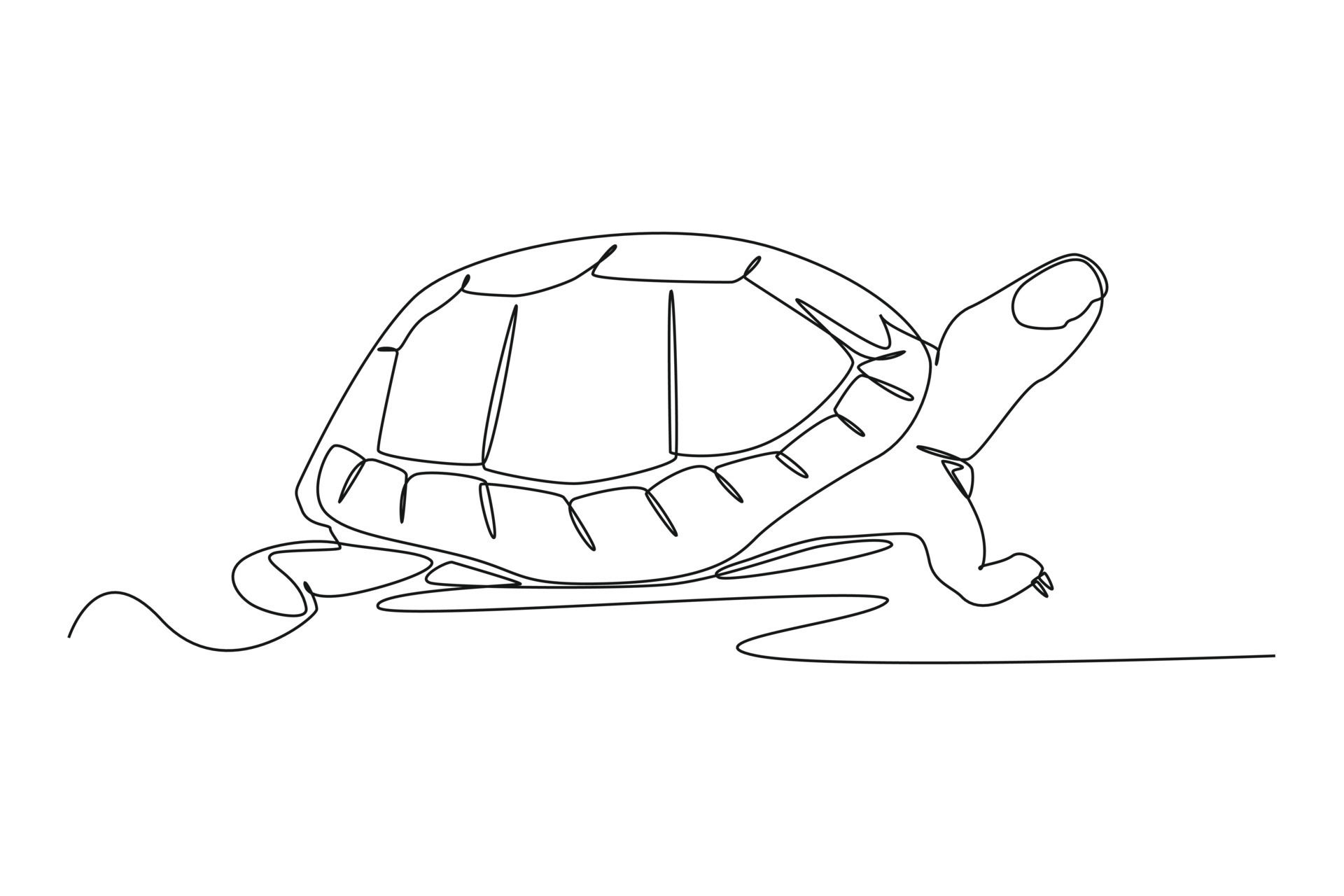 Wallpaper #9mdFCpMBSpphPi3-NNO0315 Continuous One Line Drawing a Turtle Was Crawling on the Ground
