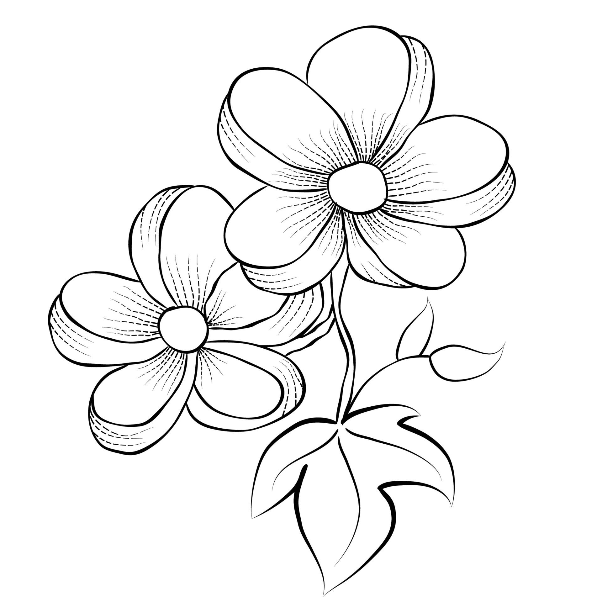 Wallpaper #xWhVIpMBSpphPi3-TTJ-51 Free Vector Line Art and Hand Drawing Flower Art Black and White Flat