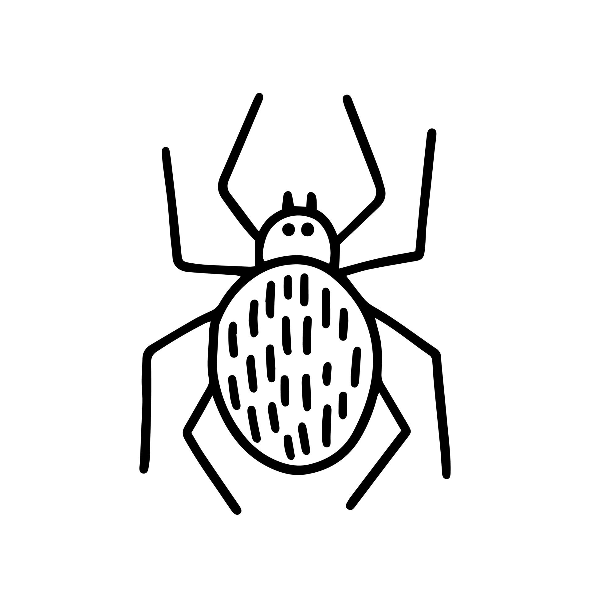 Wallpaper #dmevDpMBSpphPi3-H-tz231 Doodle Cute Spider Illustration Vector Hand Drawn Spider Illustration