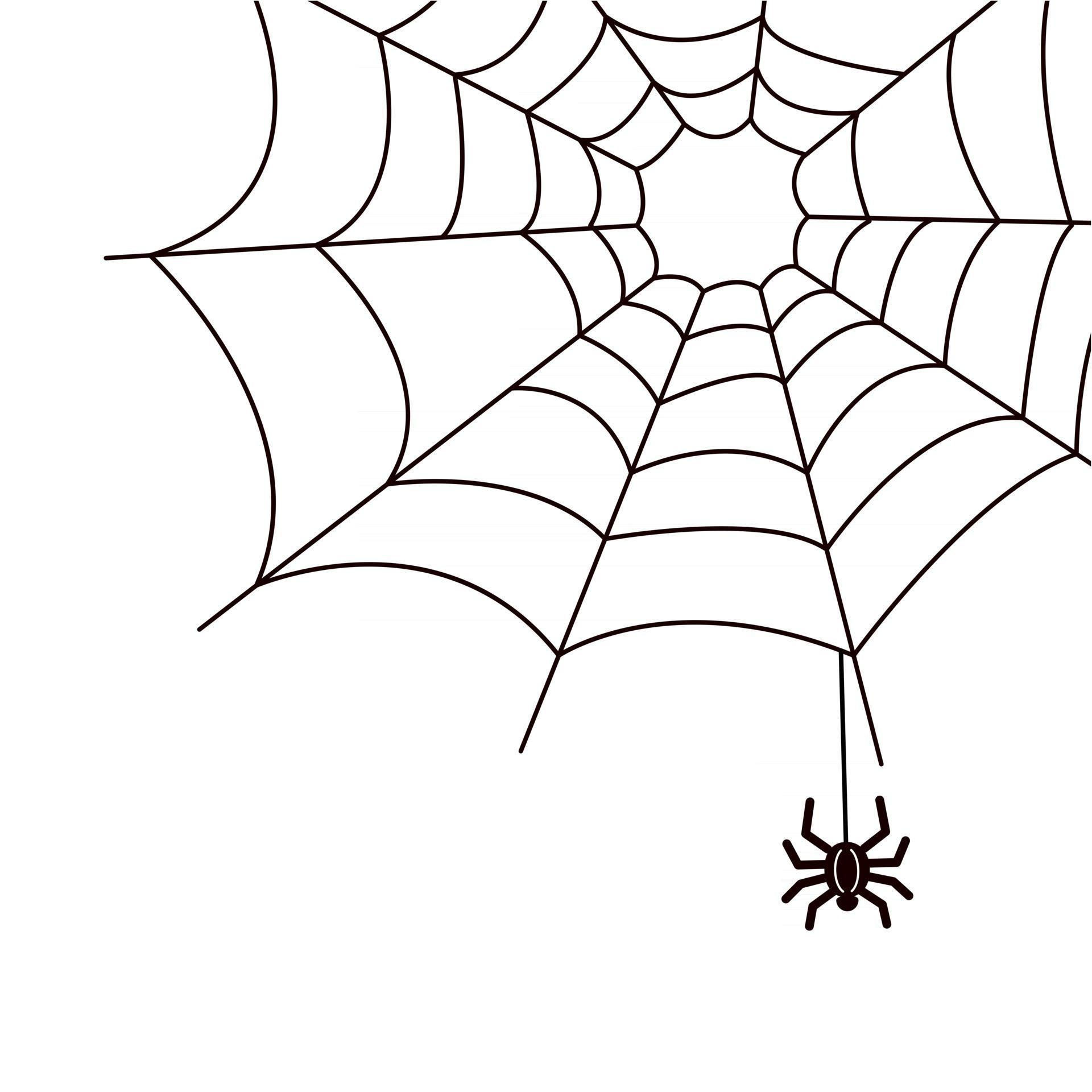 Wallpaper #cGgHF5MBSpphPi3-TQ0z105 Spider and Cobweb in the Corner Decorative Element for Design Black and