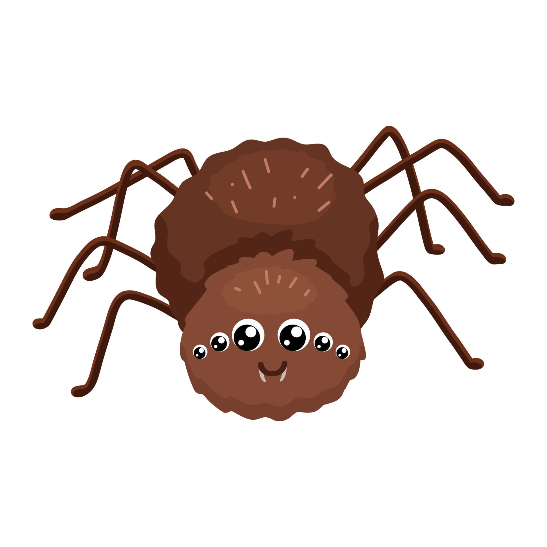 Wallpaper #46455 Brown Spider Cartoon Isolated Illustration Stock Vector Image Art Alamy