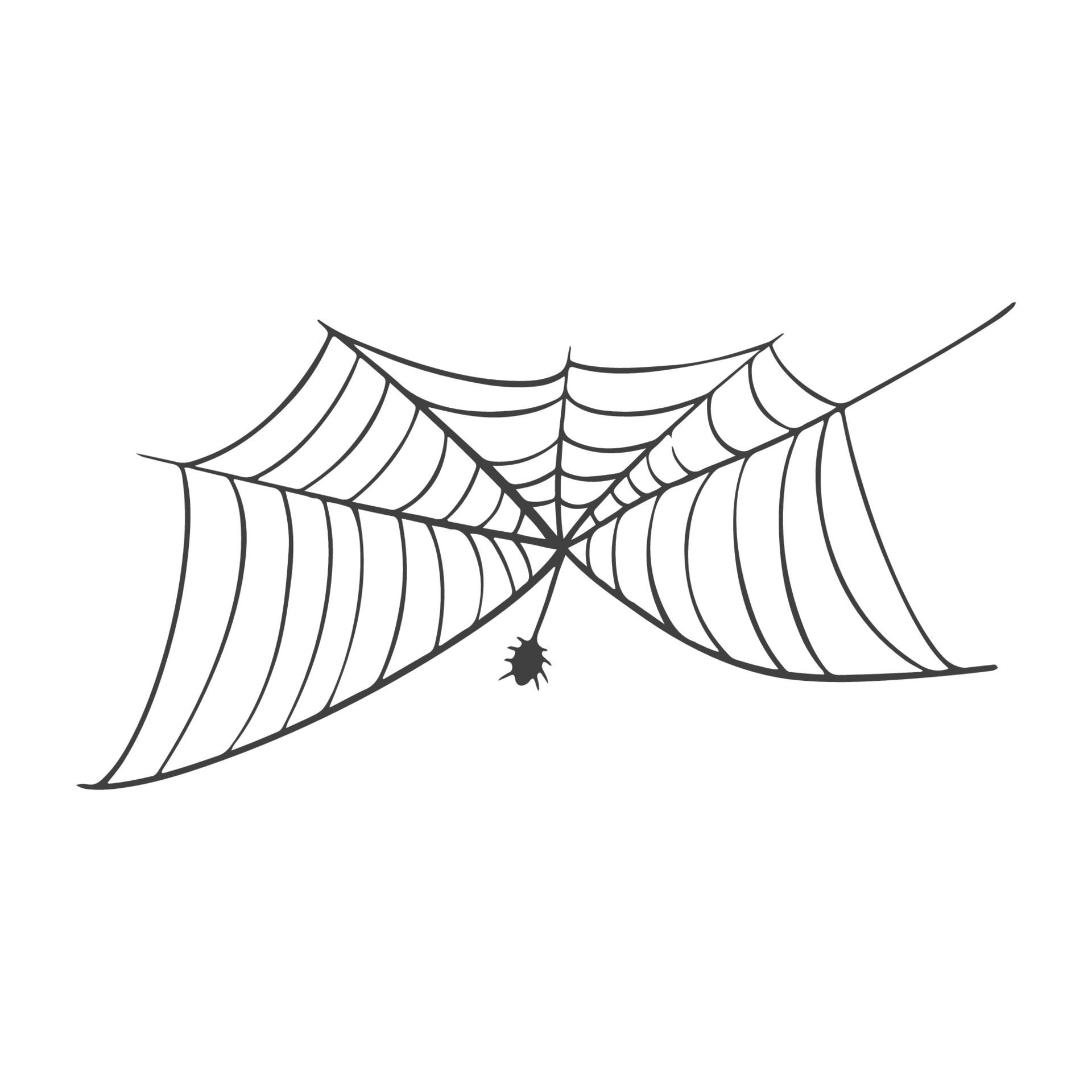 Wallpaper #52dP85IBSpphPi3-BnRA211 Vector Spider Web Icon Drawn in One Line on White for Halloween