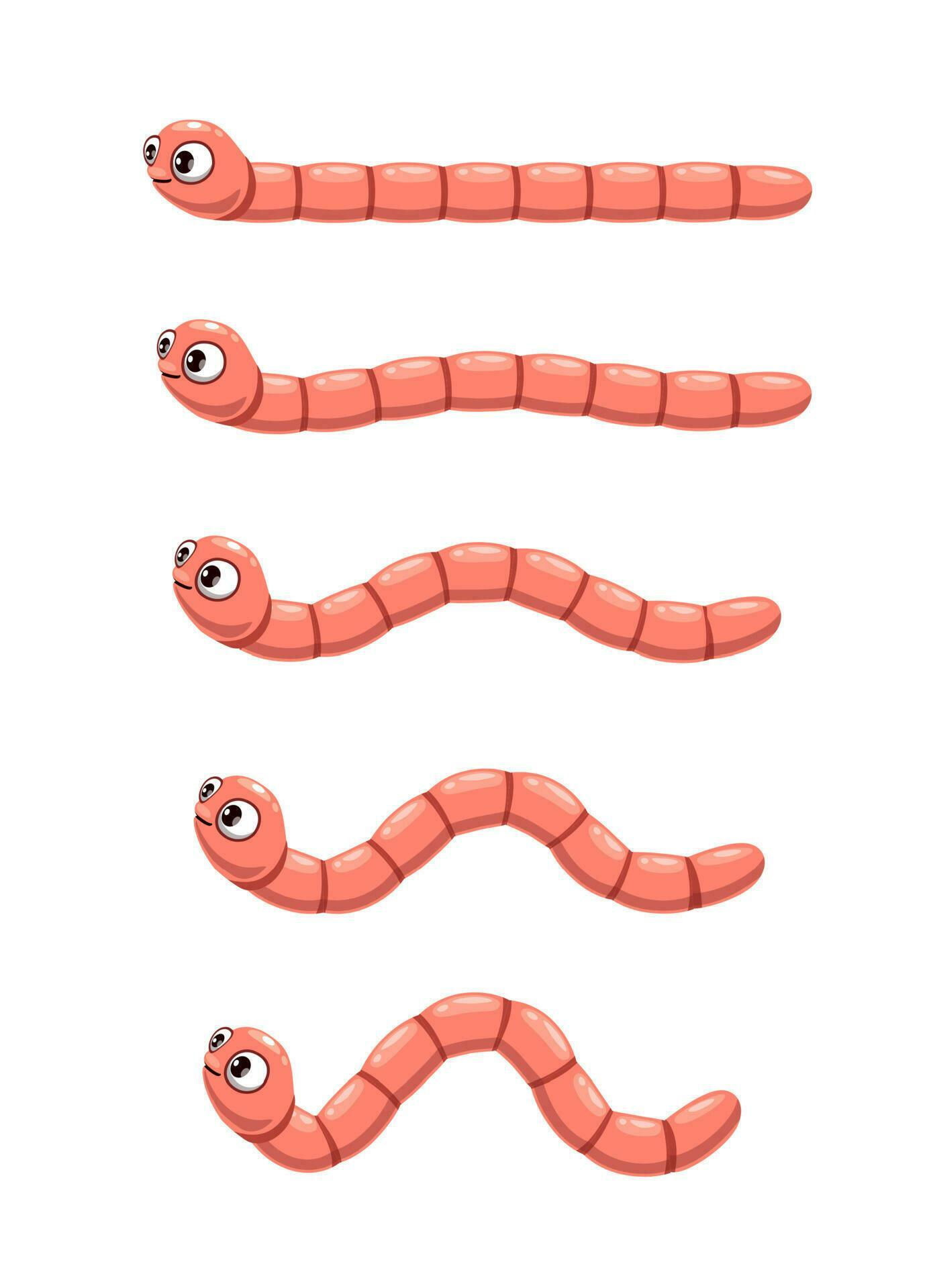 Wallpaper #vmczCZMBSpphPi3-o86c286 Animated Cartoon Worm Crawl Earthworm Animation 23485757 Vector Art at