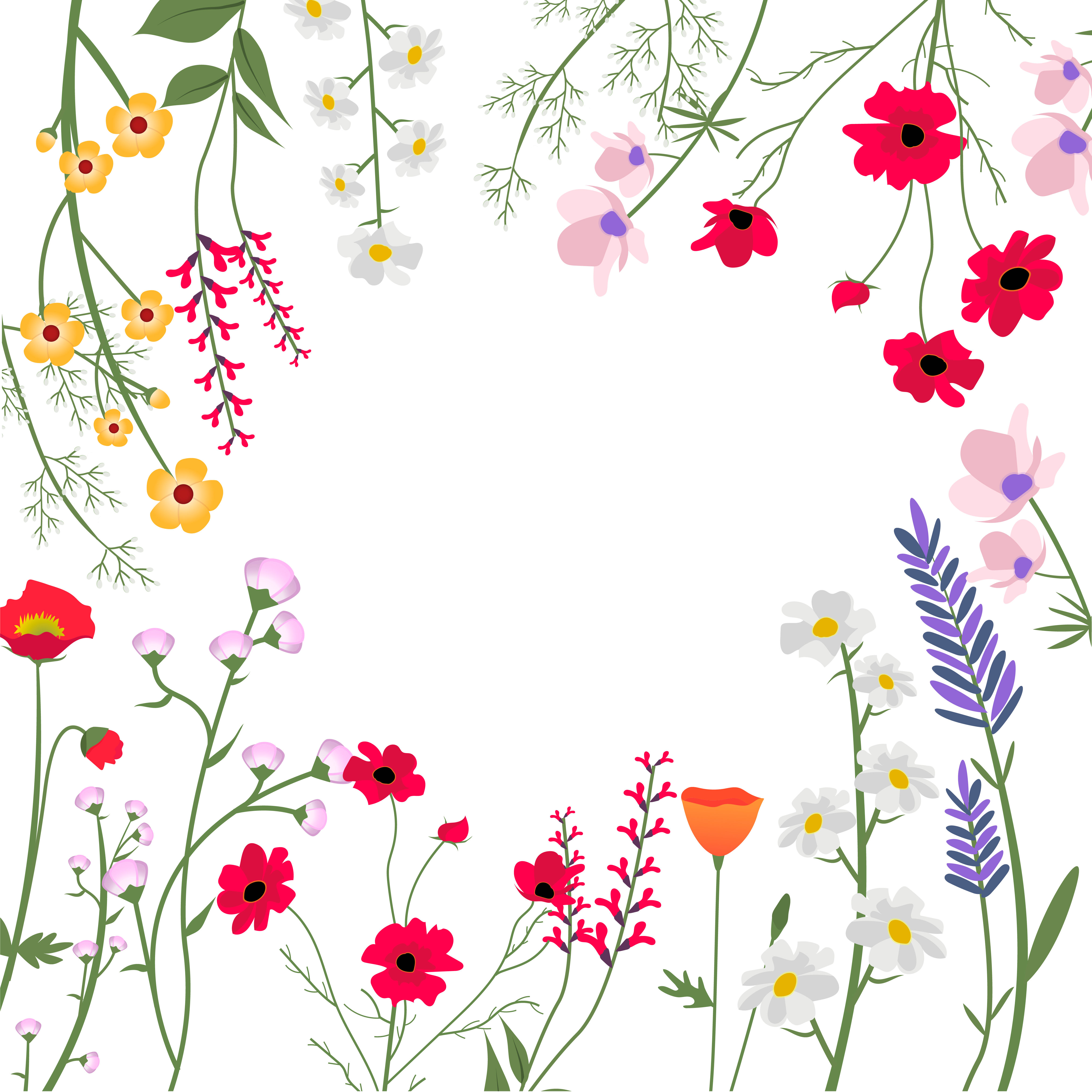 Wallpaper #Brh_2pIBJvJKYCmEEPI458 Wild Flowers Vector Illustration Download Free Vectors Clipart