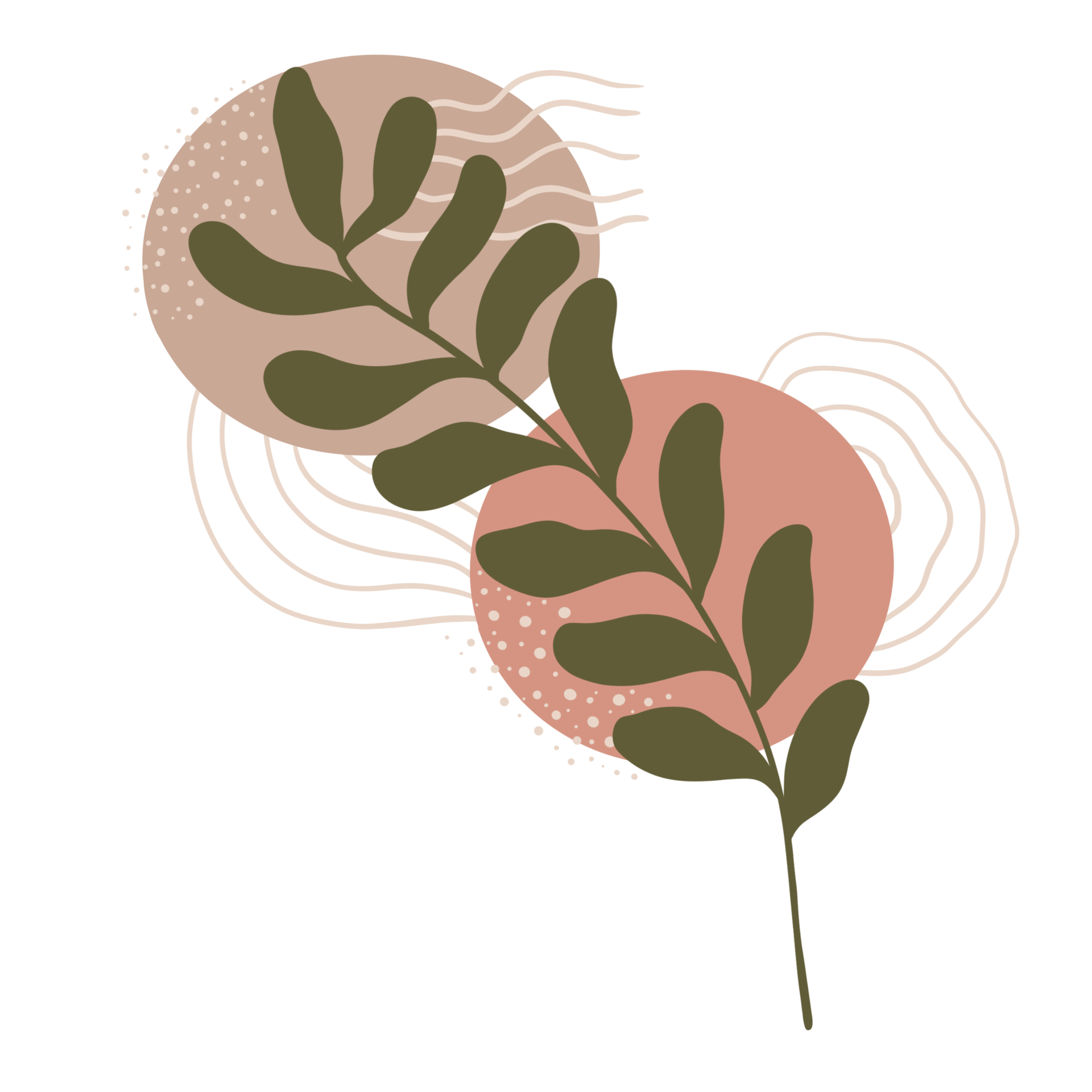 Wallpaper #JmjaGZMBSpphPi3-YRk-92 Planta De Hoja Estetica Con Formas Abstractas Estilo Minimalista