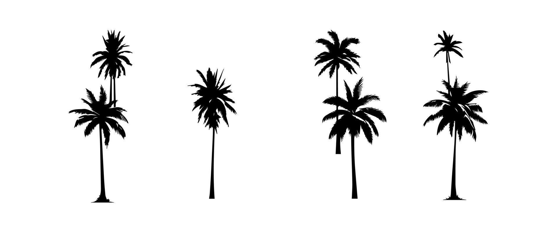 Wallpaper #fmeh-pIBSpphPi3-95Fq574 Black Palm Trees Set Isolated on White Background Palm Silhouettes