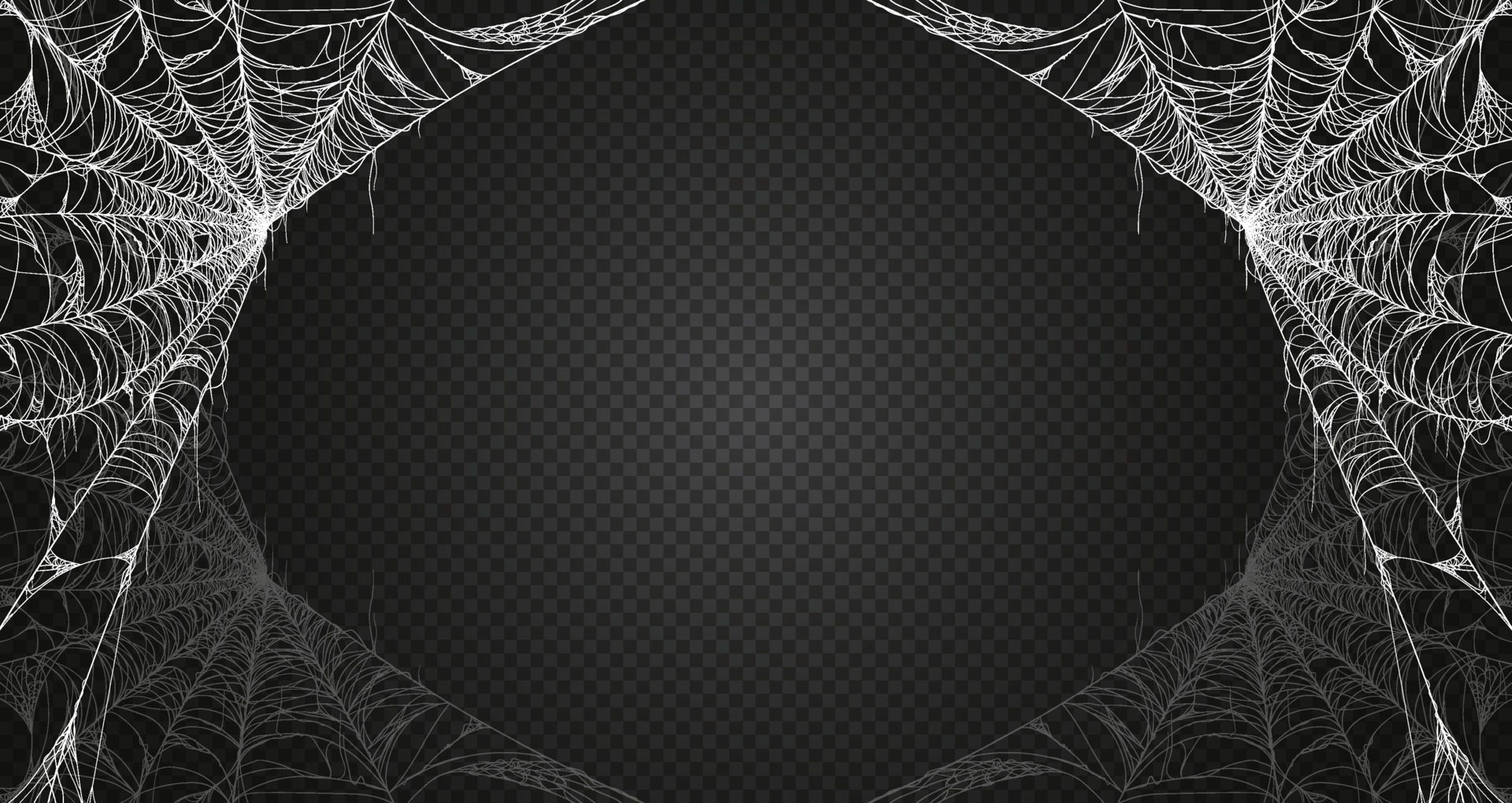 Wallpaper #52dP85IBSpphPi3-BnRA209 Spider Web Border Vector Art Icons and Graphics for Free Download