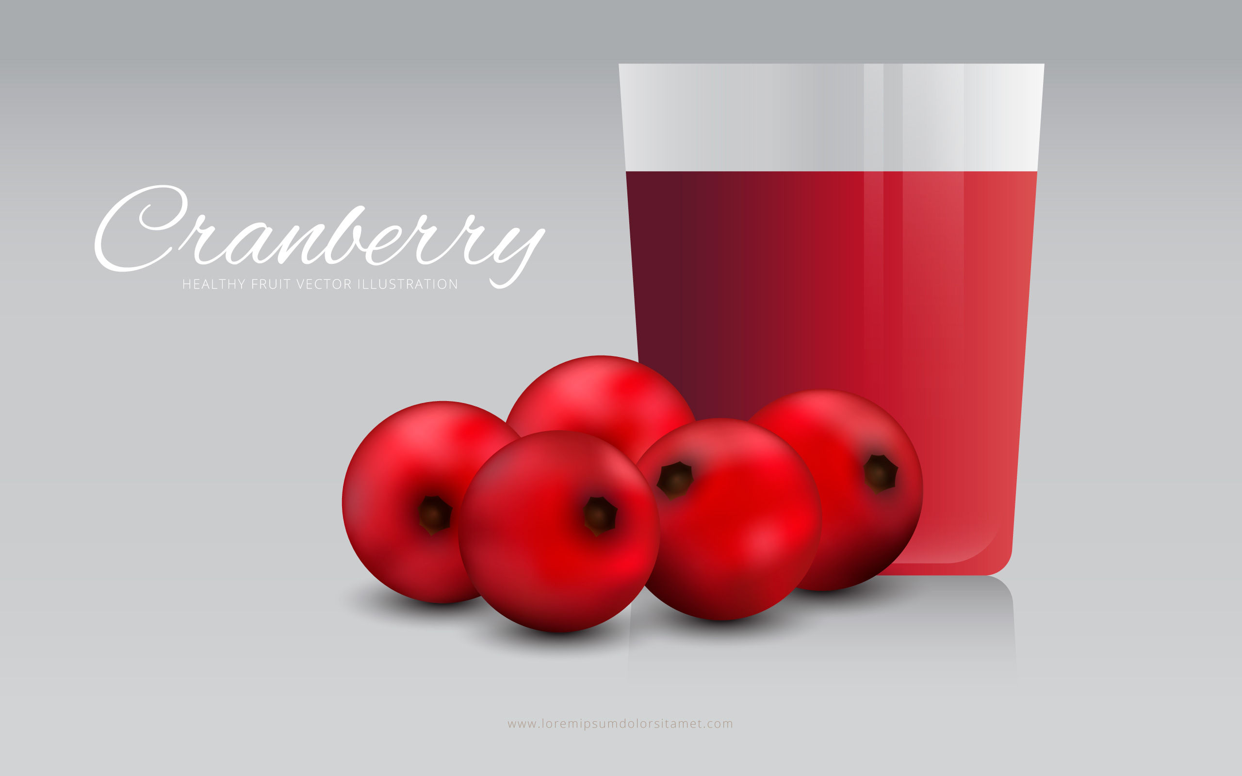 Wallpaper #3DD19 Cranberries Juice Vector 167451 Vector Art at Vecteezy