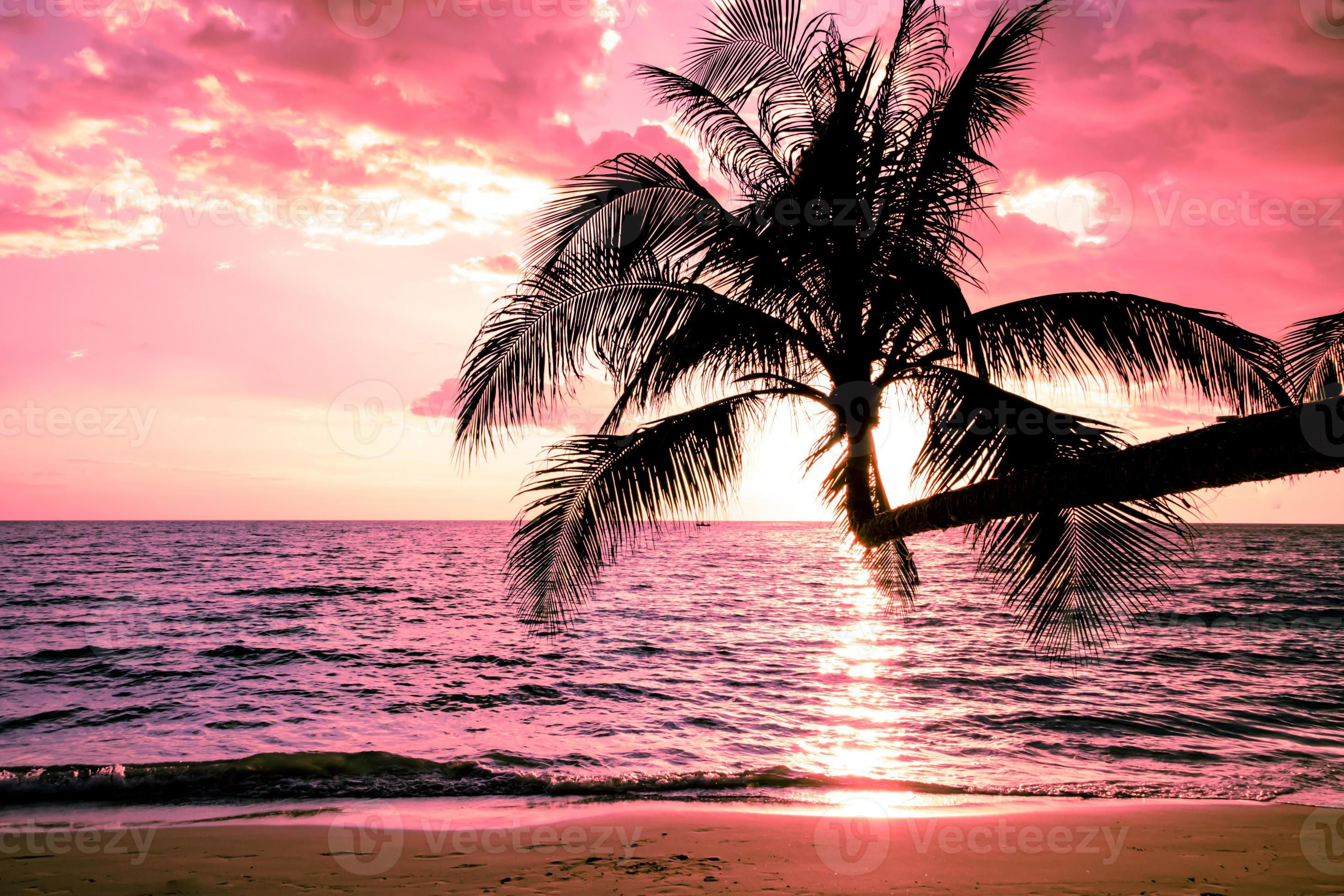 Wallpaper #DJws4pIBZHQxiYarq7-4167 Beautiful Sunset Tropical Beach with Palm Tree and Pink Sky for Travel