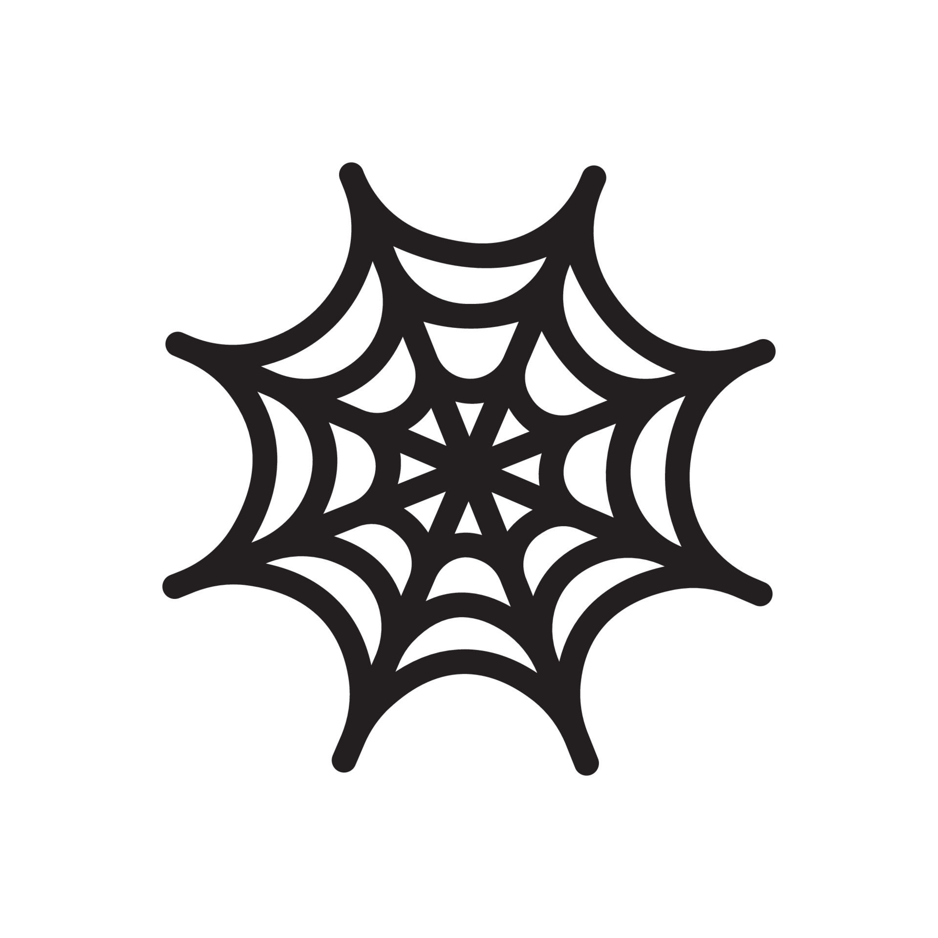 Wallpaper #52dP85IBSpphPi3-BnRA98 Arana Webs Vector 24394265 Vector En Vecteezy