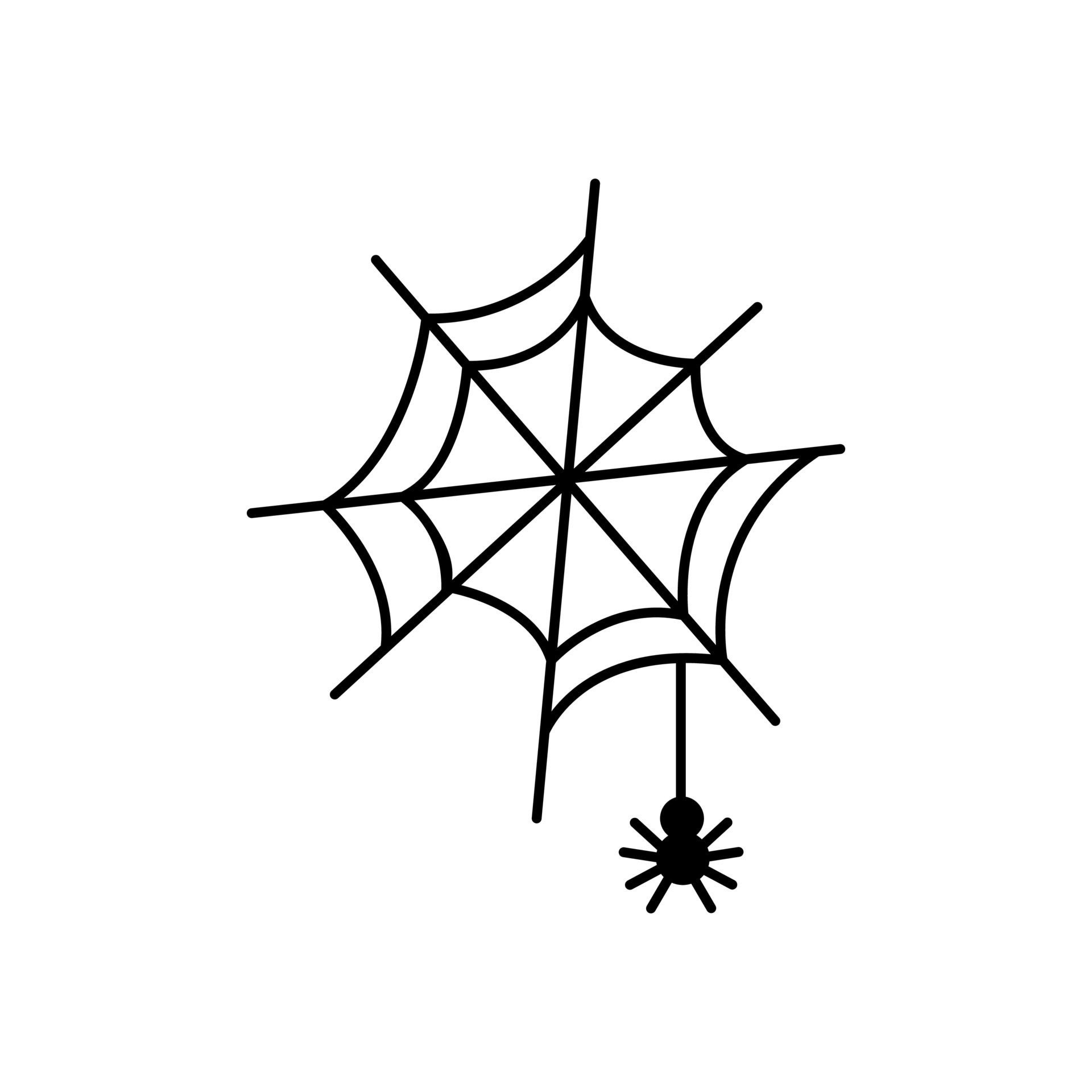 Wallpaper #P-bVMpMBA7IOc3WmdhKX52 Cobweb Halloween Doodle Line Art Cobweb with Spider Cartoon Art Hand