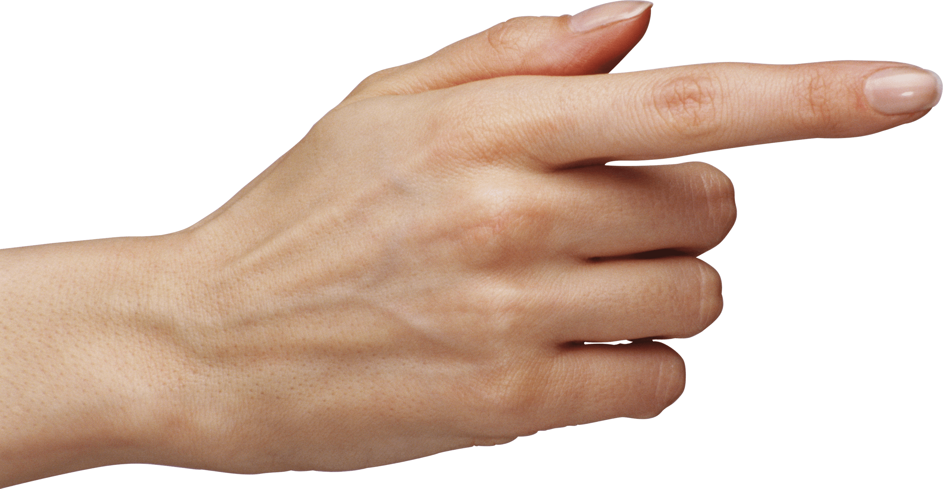 Wallpaper #LJz34JIBZHQxiYararks138 Png Pointing Finger Transparent Pointing Fingerpng Images Pluspng