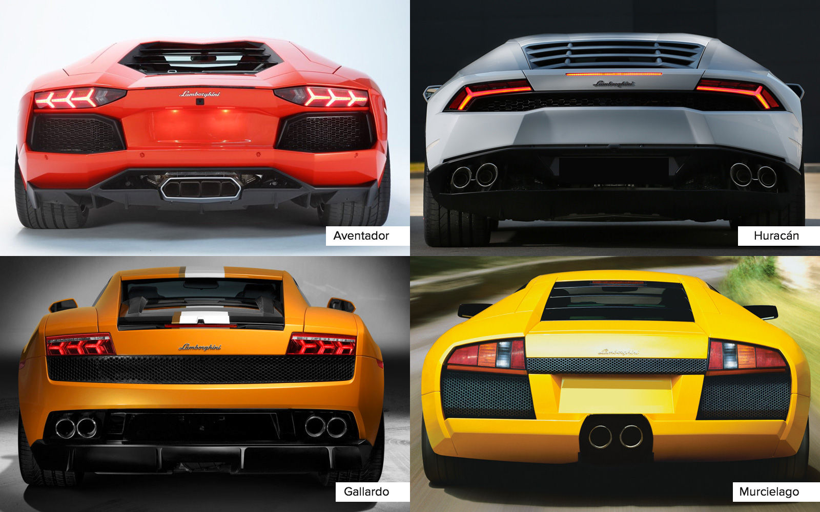 Wallpaper #4da13 The Lamborghini Legend Athena Posters