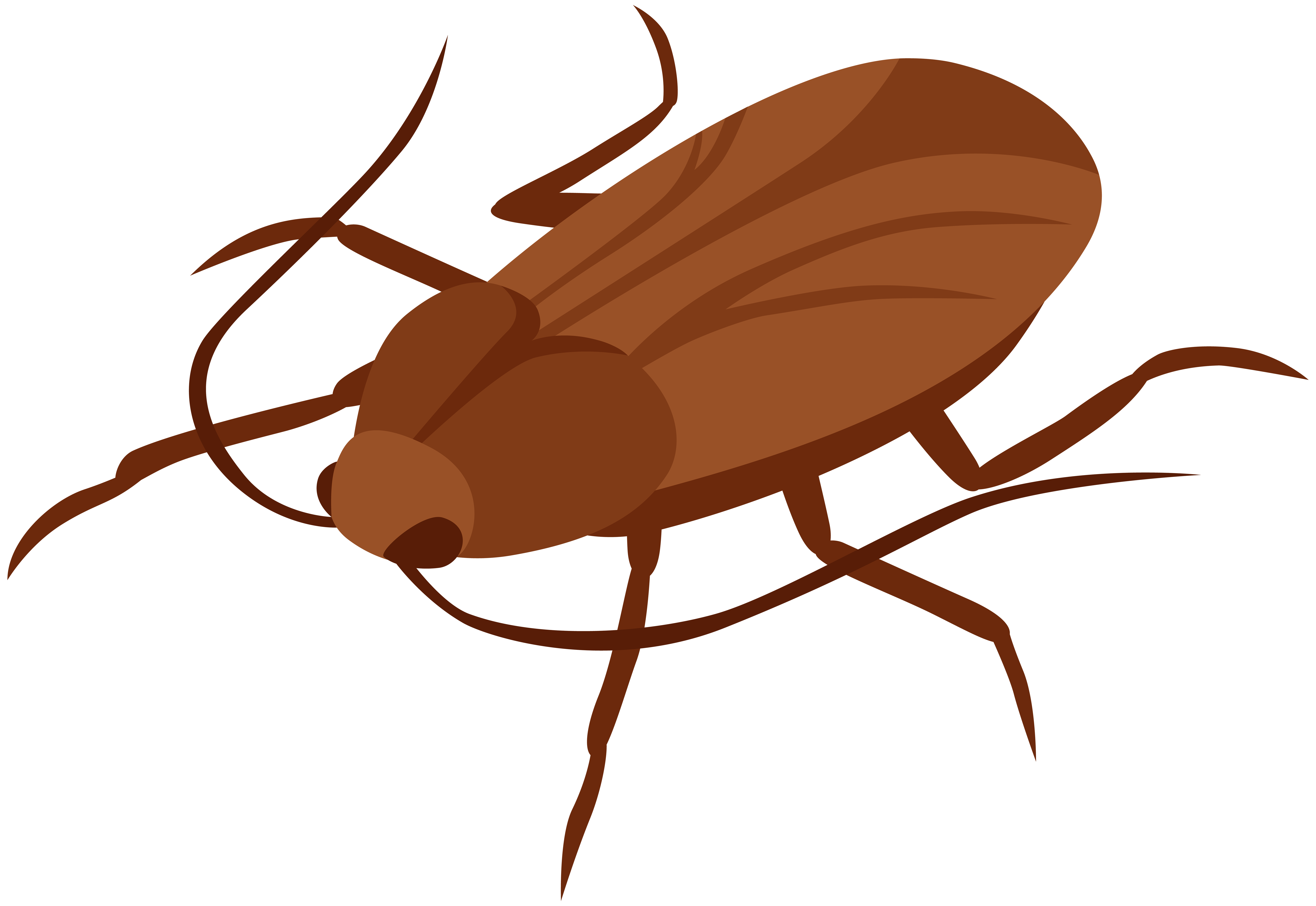Wallpaper #SWdXCpMBSpphPi3-q9Qk37 Roach Clipart Free Download on Clipartmag
