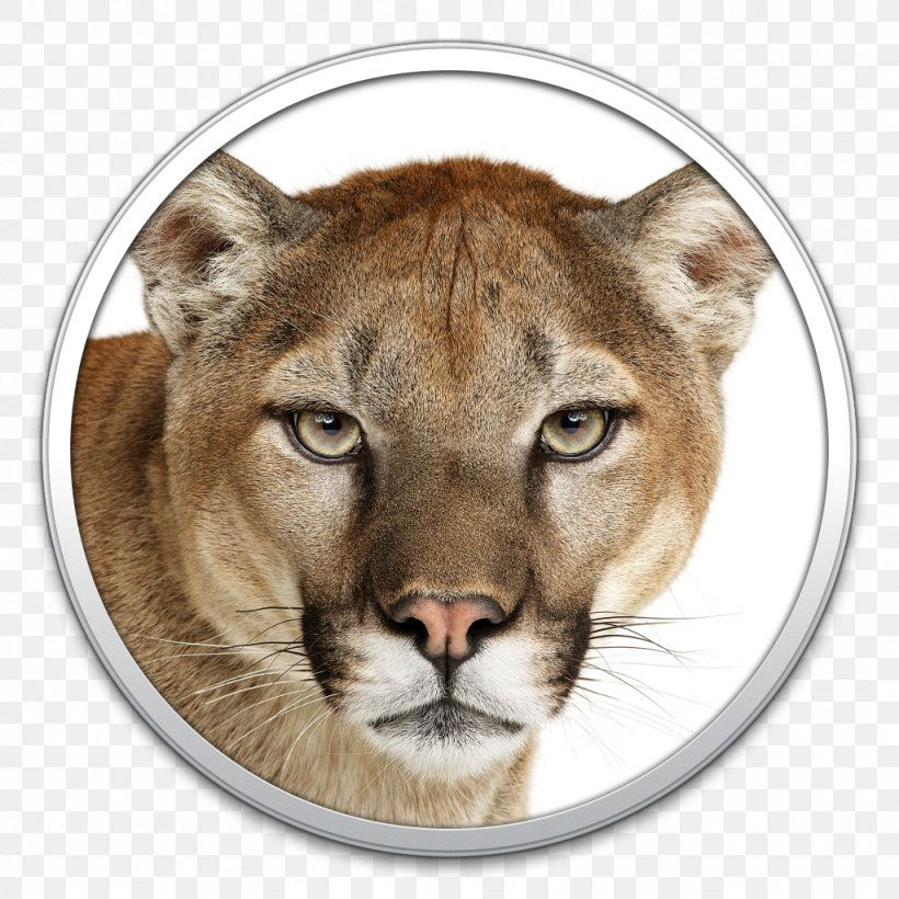 Wallpaper #R7i52ZIBJvJKYCmExu58137 Os X Mountain Lion Macos Mac Os X Lion Apple Png 1024x1024px Os X