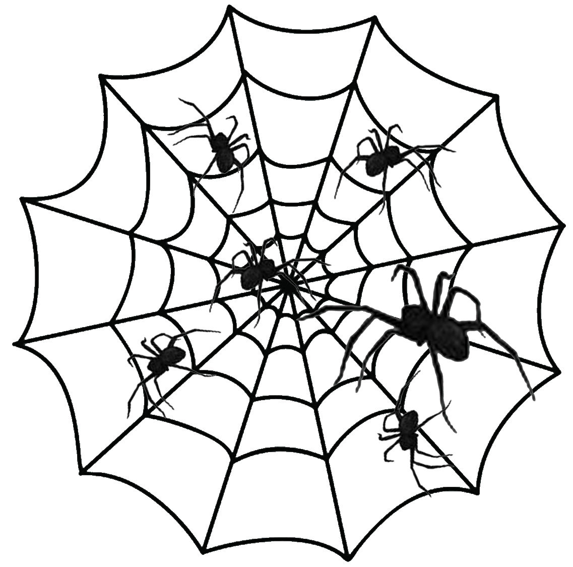 Wallpaper #mWf1-JIBSpphPi3-LItN280 Halloween Spiders Pictures Clipart Best