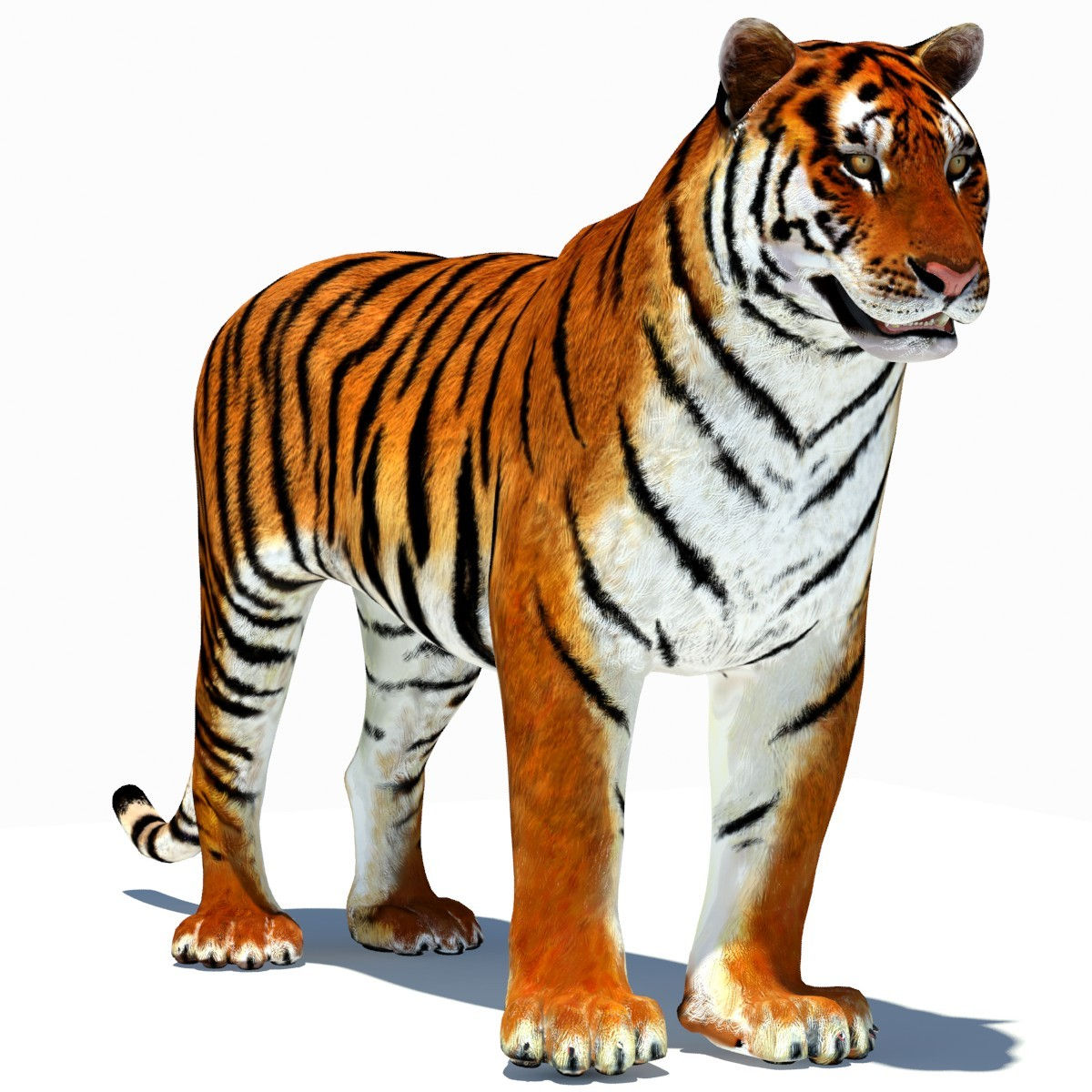 Wallpaper #0b9d5 Anime Tiger Wallpapers Top Free Anime Tiger Backgrounds Wallpaperaccess