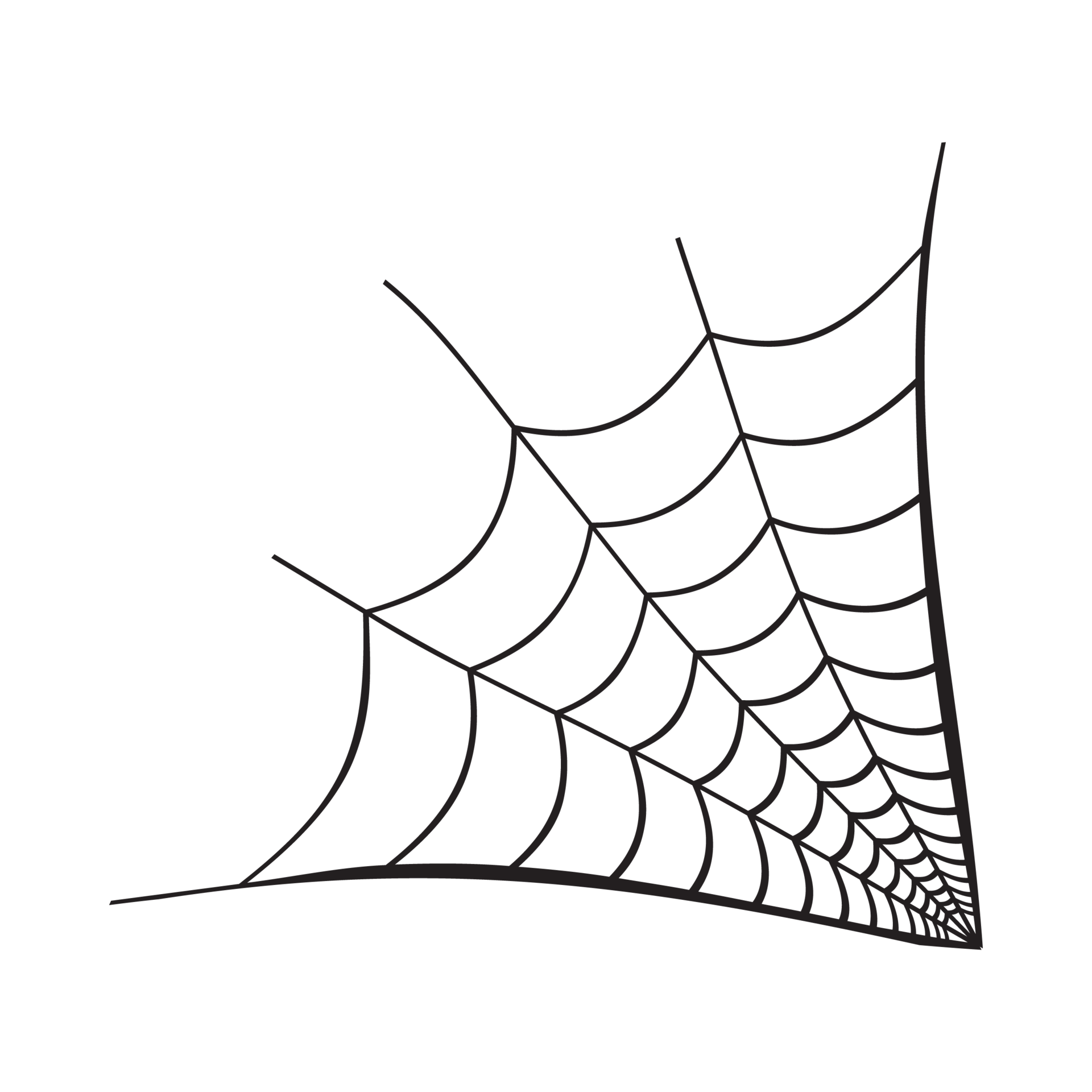 Wallpaper #XTGaNZMB5zzyi_yYdVfD319 Spider Web Overlay Png Transparent Image Download