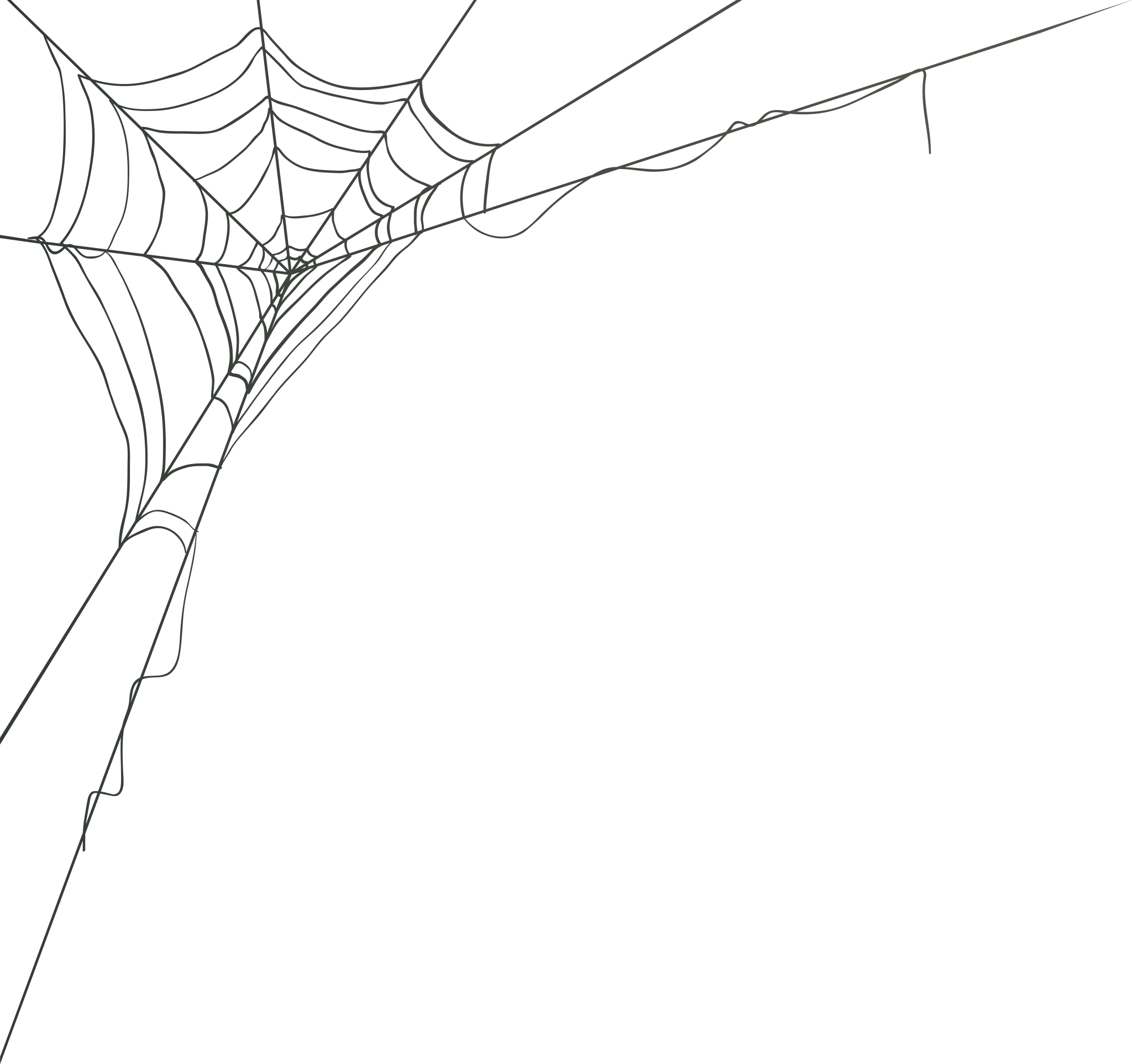 Wallpaper #MmhtGpMBSpphPi3-Uxyl310 Halloween Simple Spider Web Silhouette Old Spider Web Image with Black