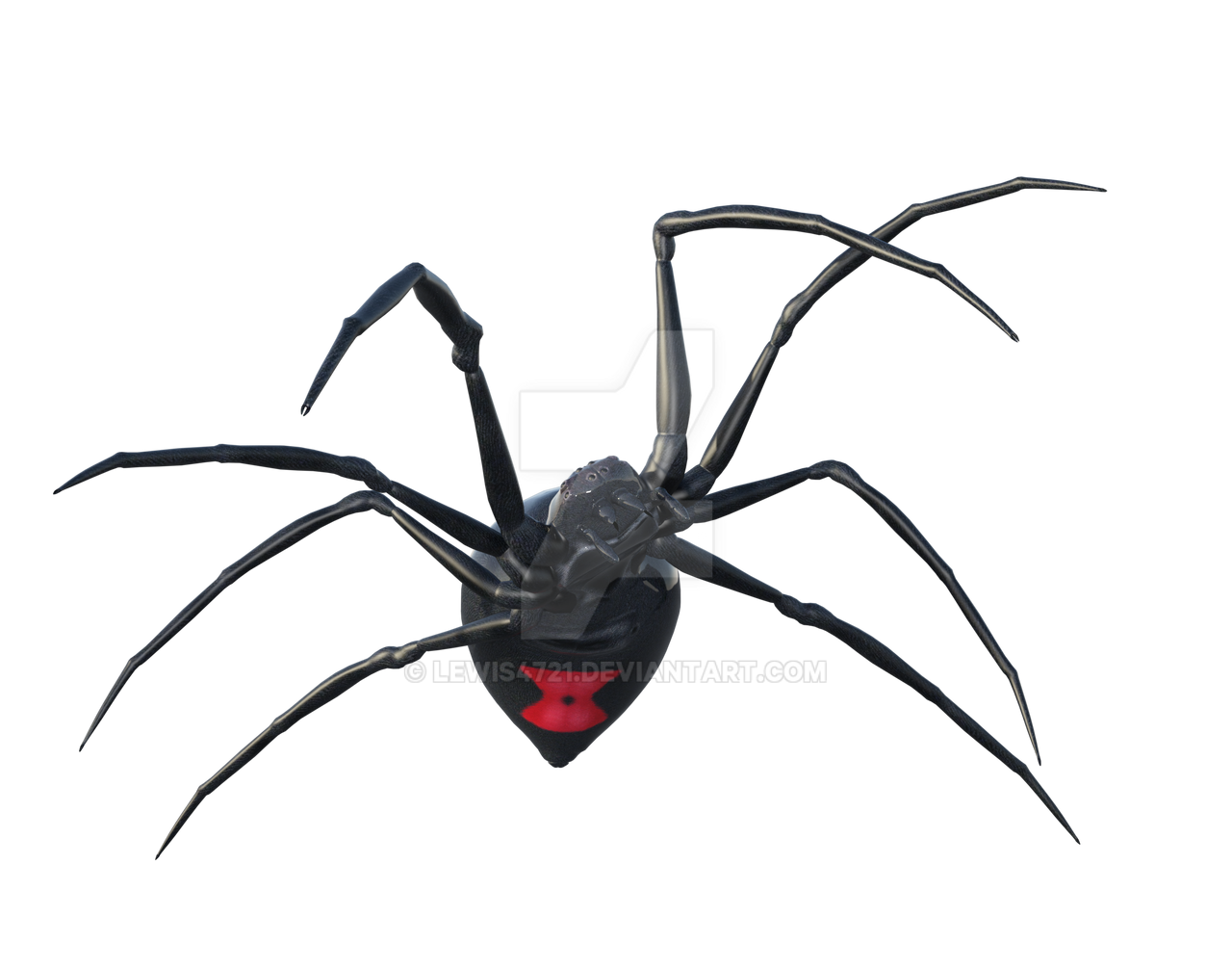 Wallpaper #5vQUOpMBKFX8bn3rPHdj319 Black Widow Spiders Png Transparent