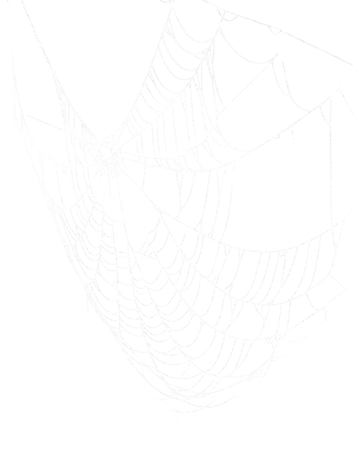 Wallpaper #IHd9JpMB-pgBXx606qKg35 Download Spider Web Transparent Background Hq Png Image in Different